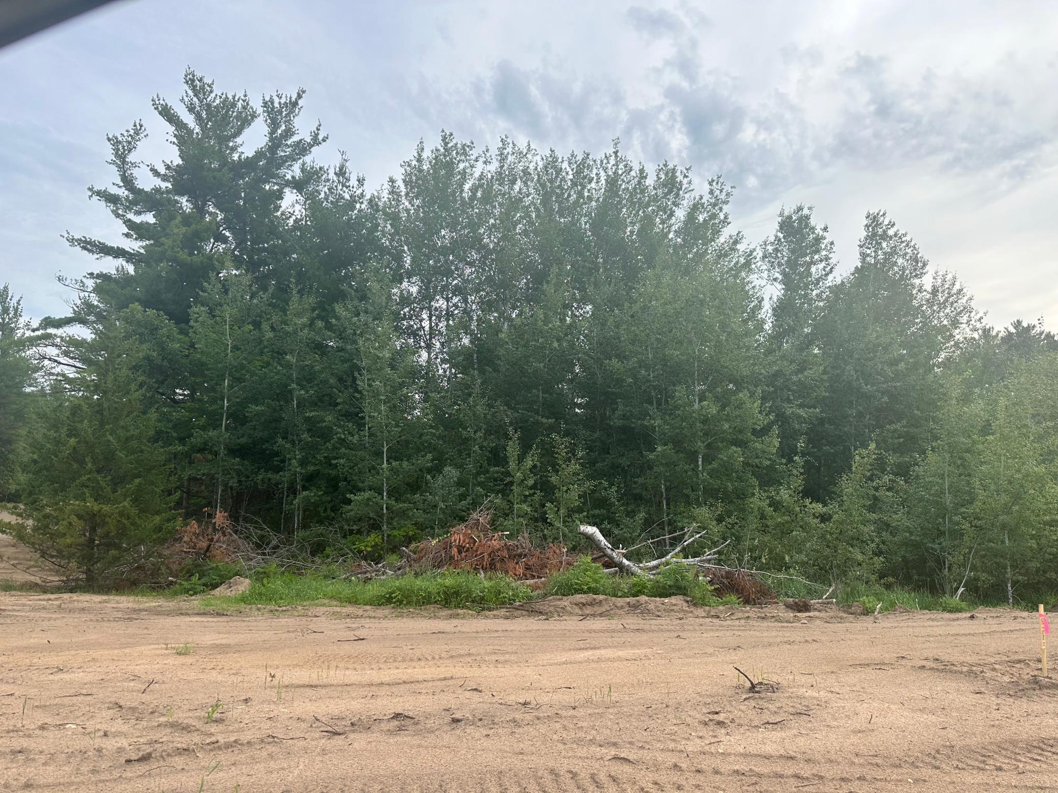 Lot 11 Blk 1 Brummer Drive, Randall, Minnesota image 1