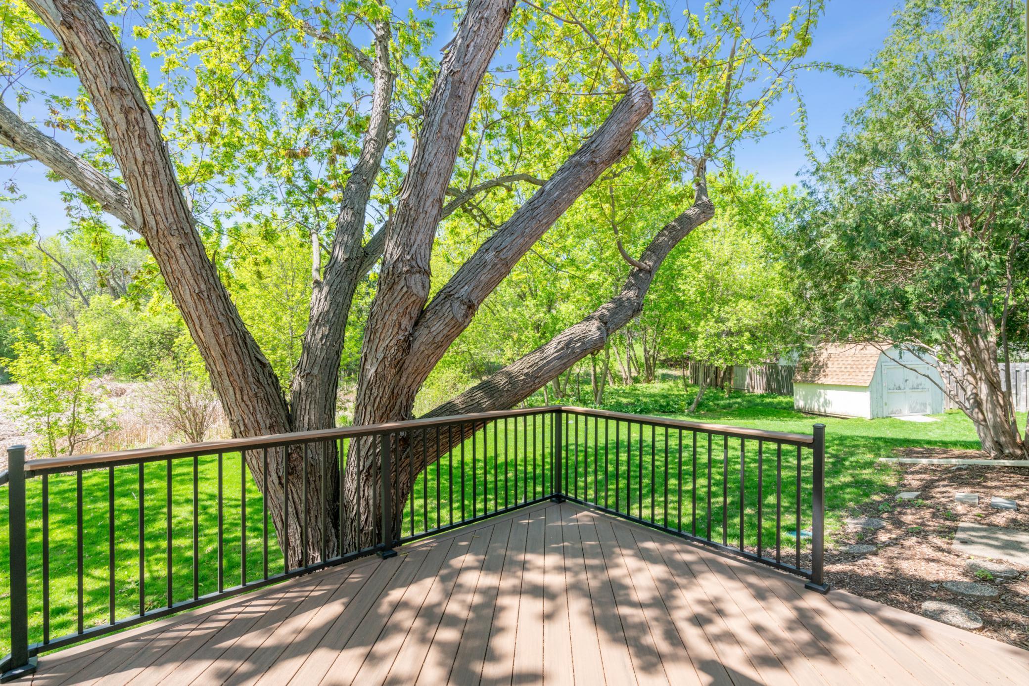 4335 Jonquil Lane, Plymouth, Minnesota image 26