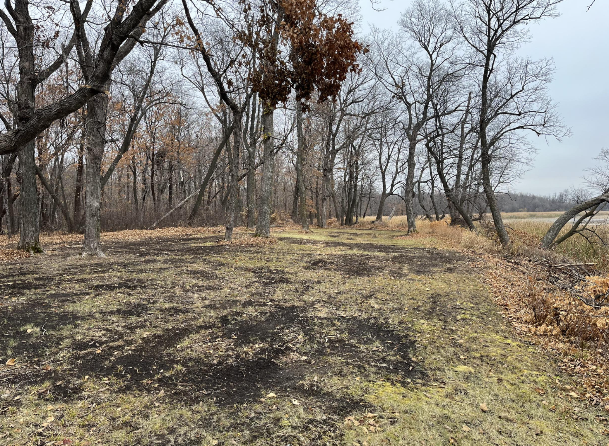 32493 Bright Star Trail, Dent, Minnesota image 6