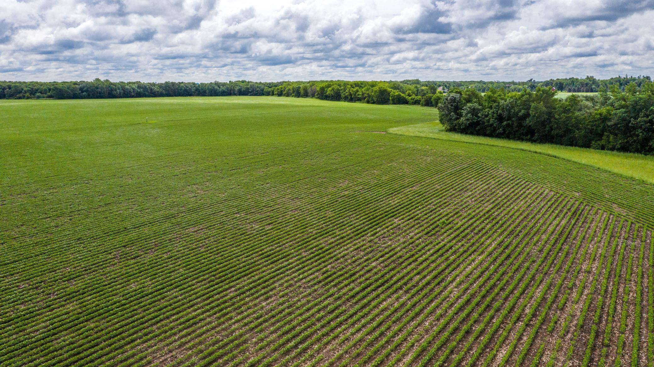 TBD Mn Highway 30, Blooming Prairie, Minnesota image 6