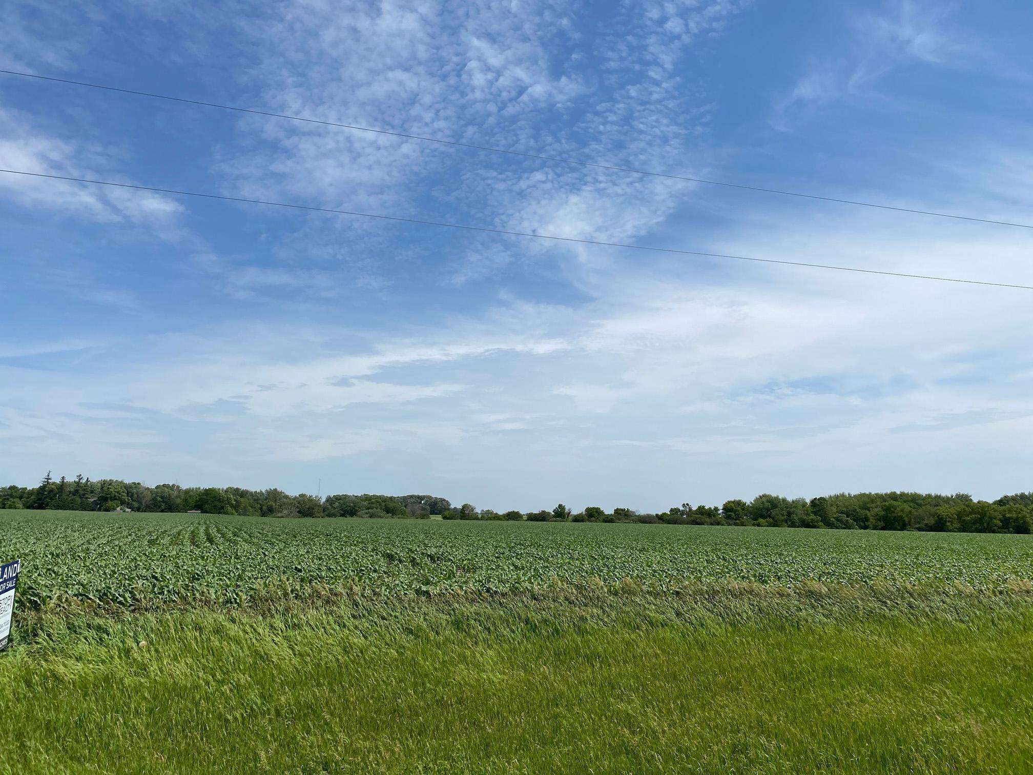 TBD Mn Highway 30, Blooming Prairie, Minnesota image 7