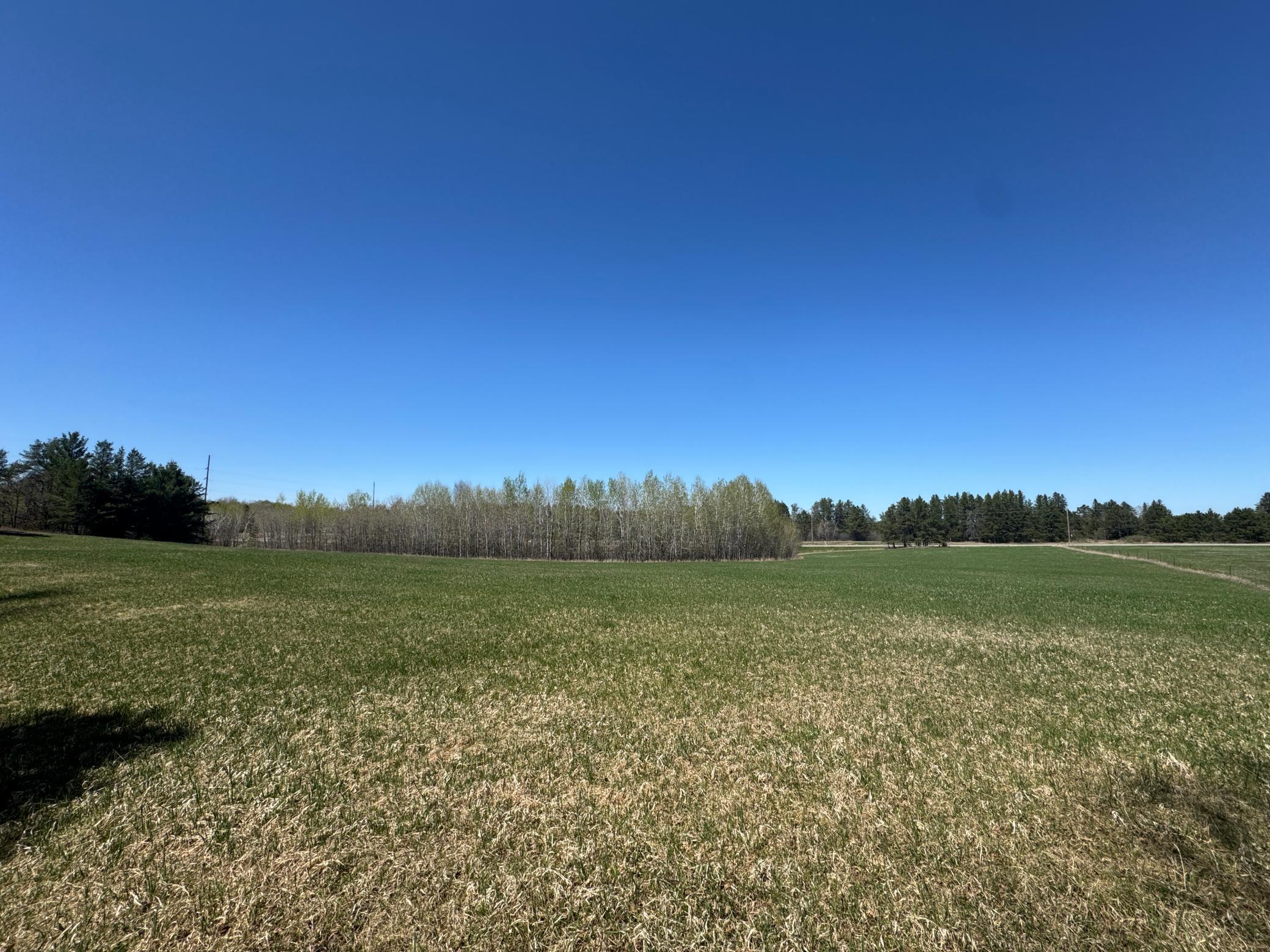 24282 315th Avenue, Akeley, Minnesota image 3