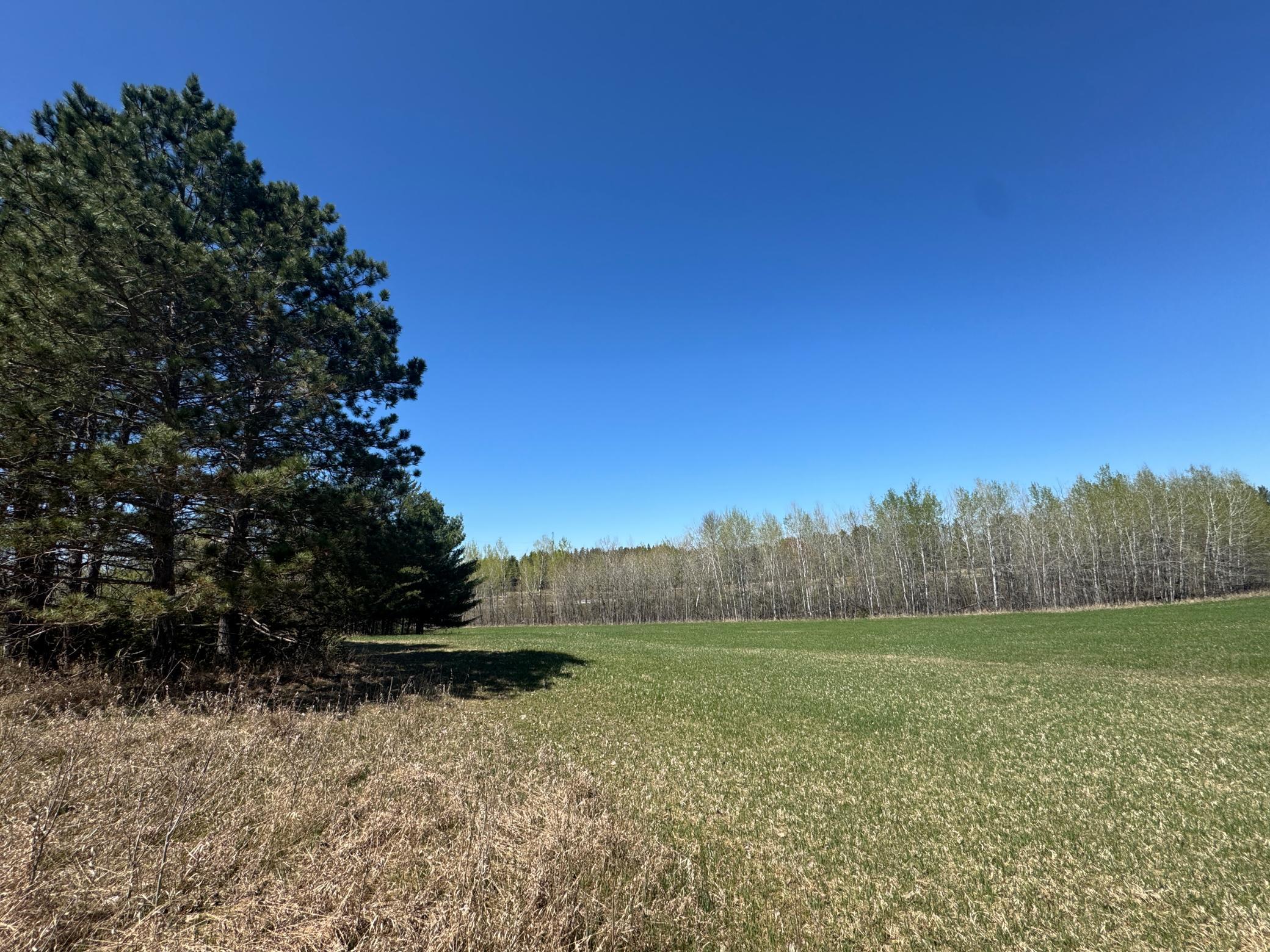 24282 315th Avenue, Akeley, Minnesota image 2