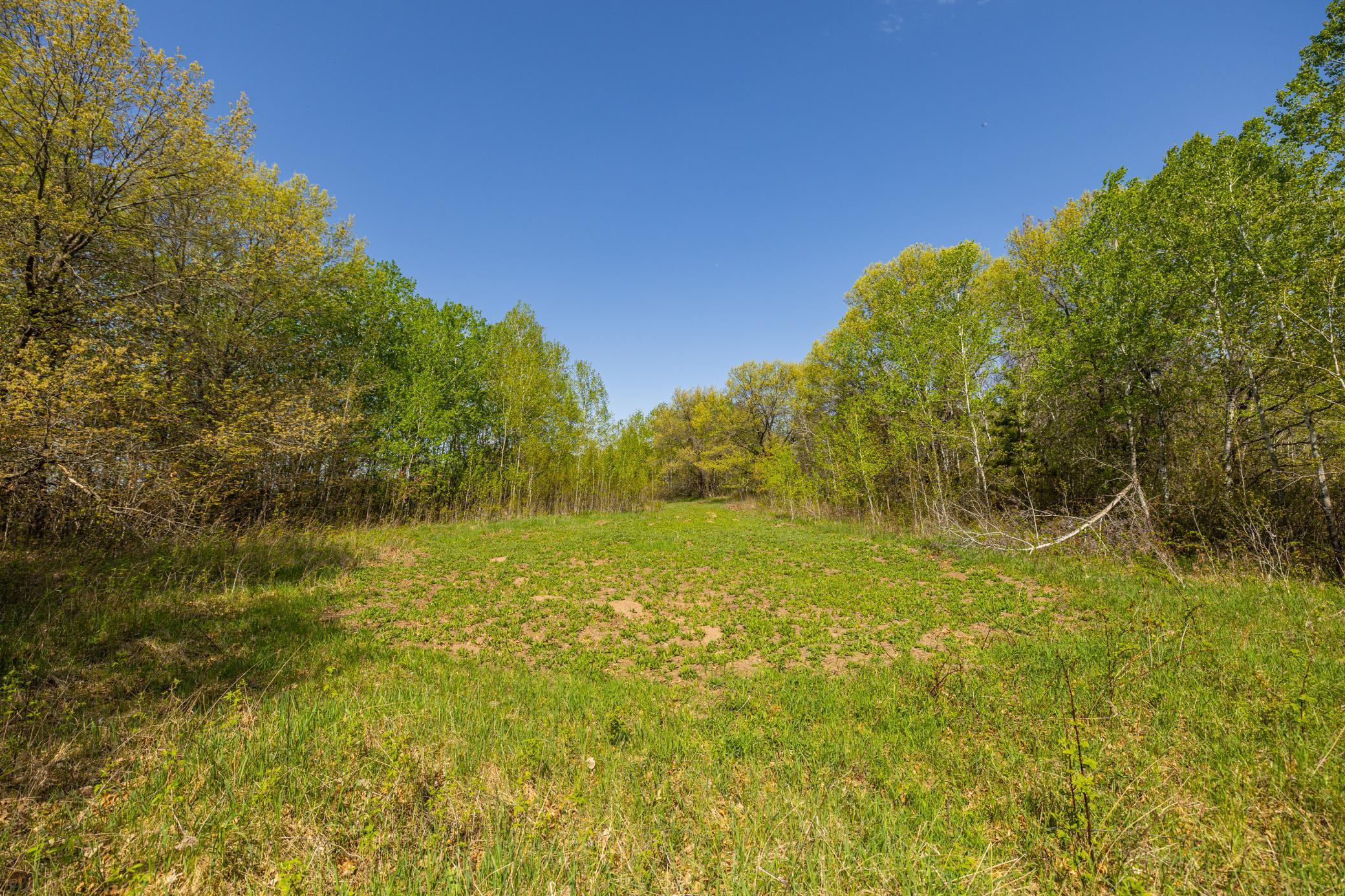 TBD-80+/-AC 470th Street, Harris, Minnesota image 2