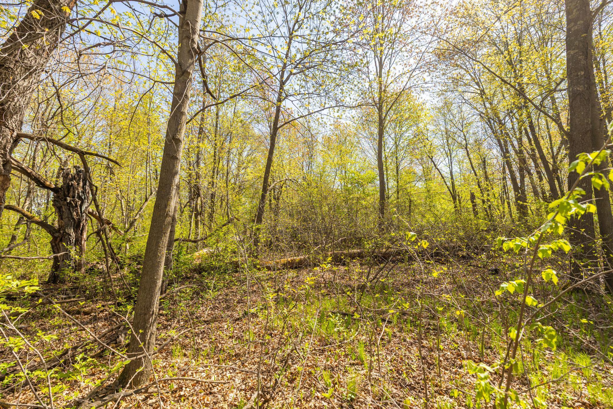 TBD-80+/-AC 470th Street, Harris, Minnesota image 43