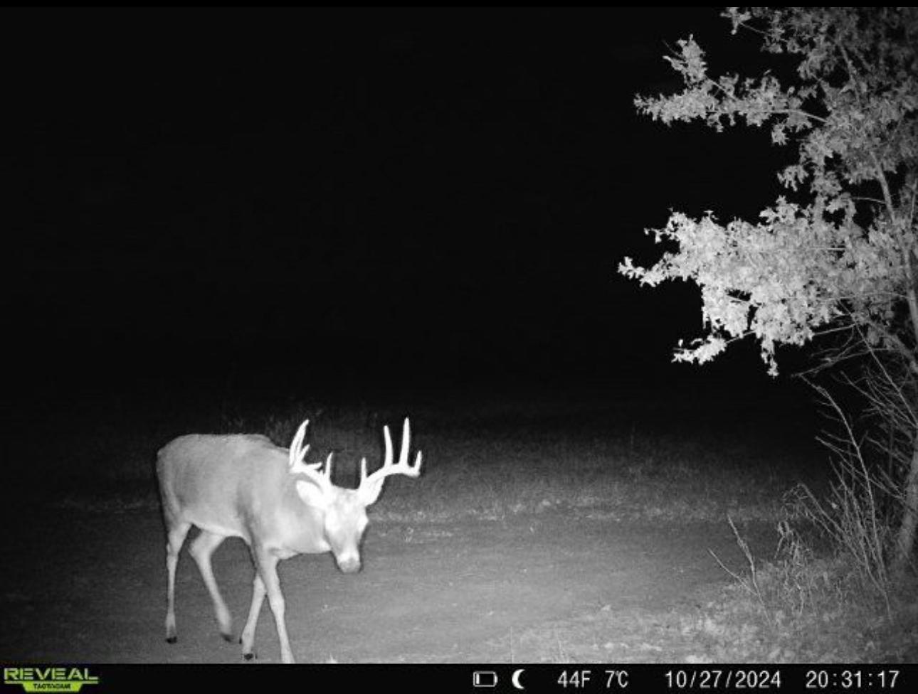 TBD-80+/-AC 470th Street, Harris, Minnesota image 5