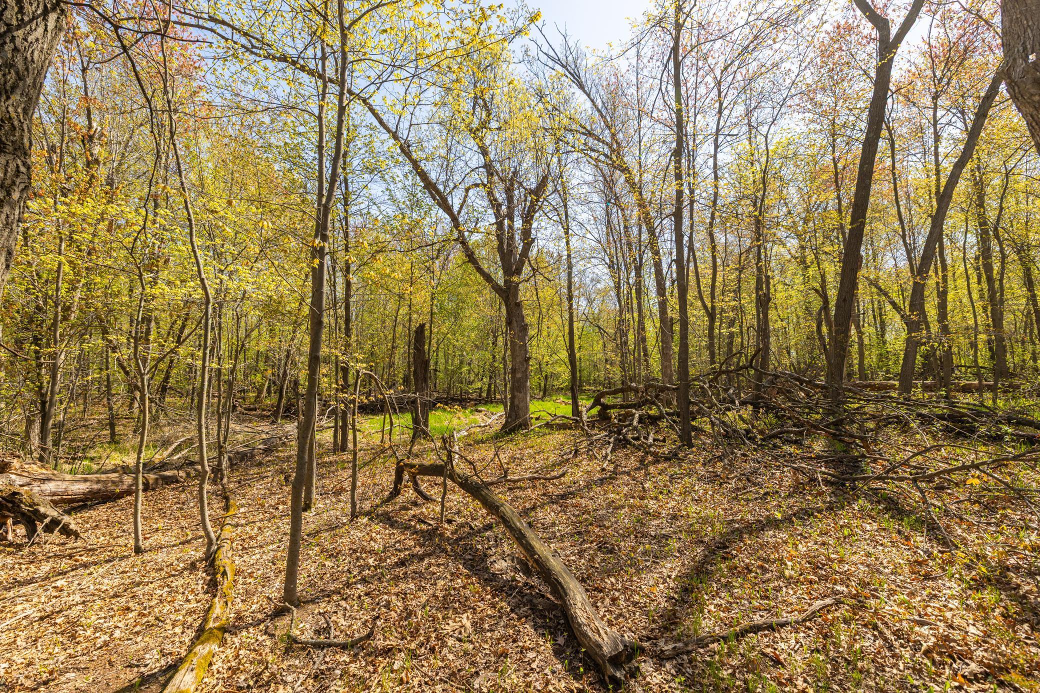 TBD-80+/-AC 470th Street, Harris, Minnesota image 4
