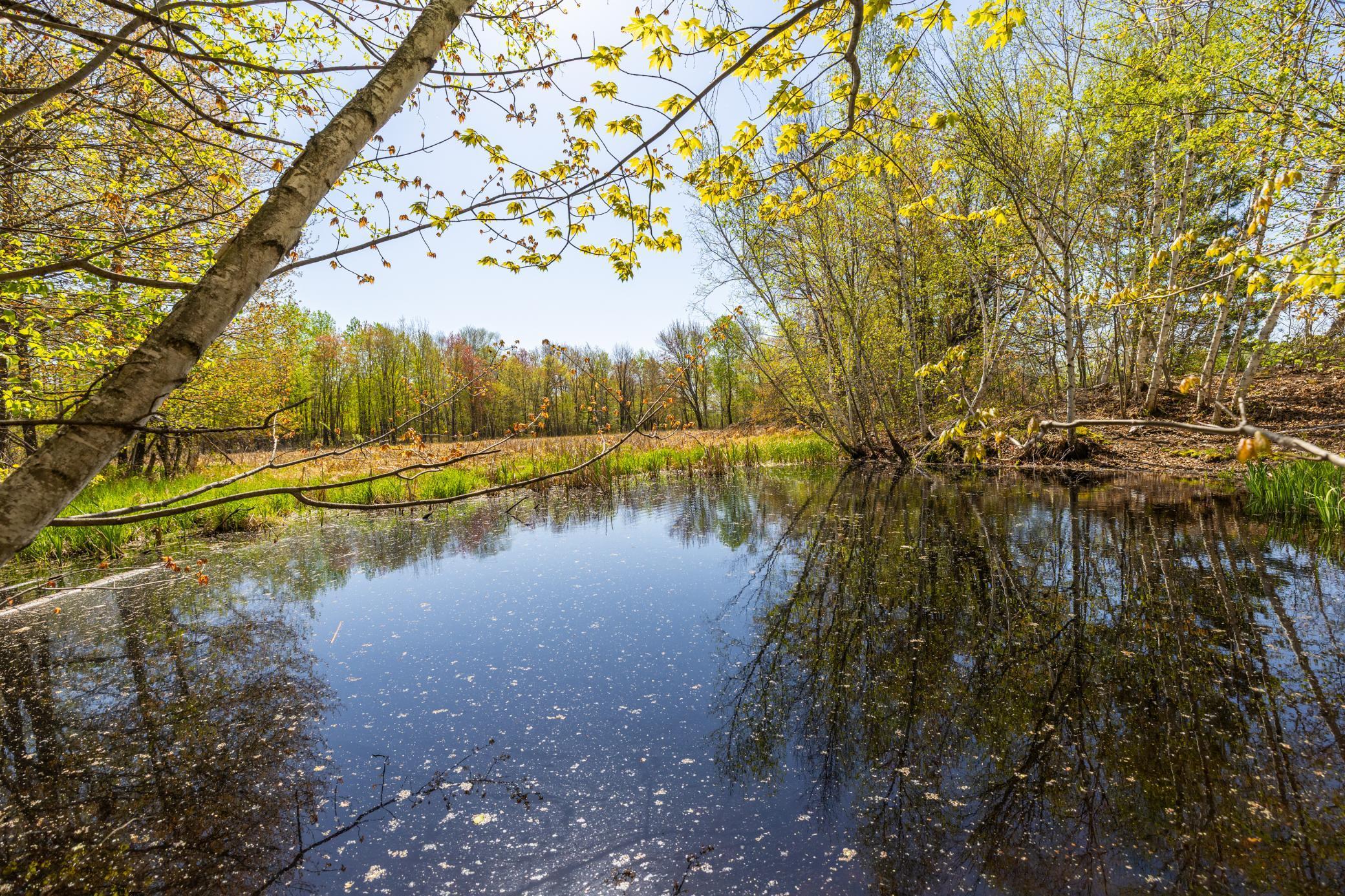 TBD-80+/-AC 470th Street, Harris, Minnesota image 15