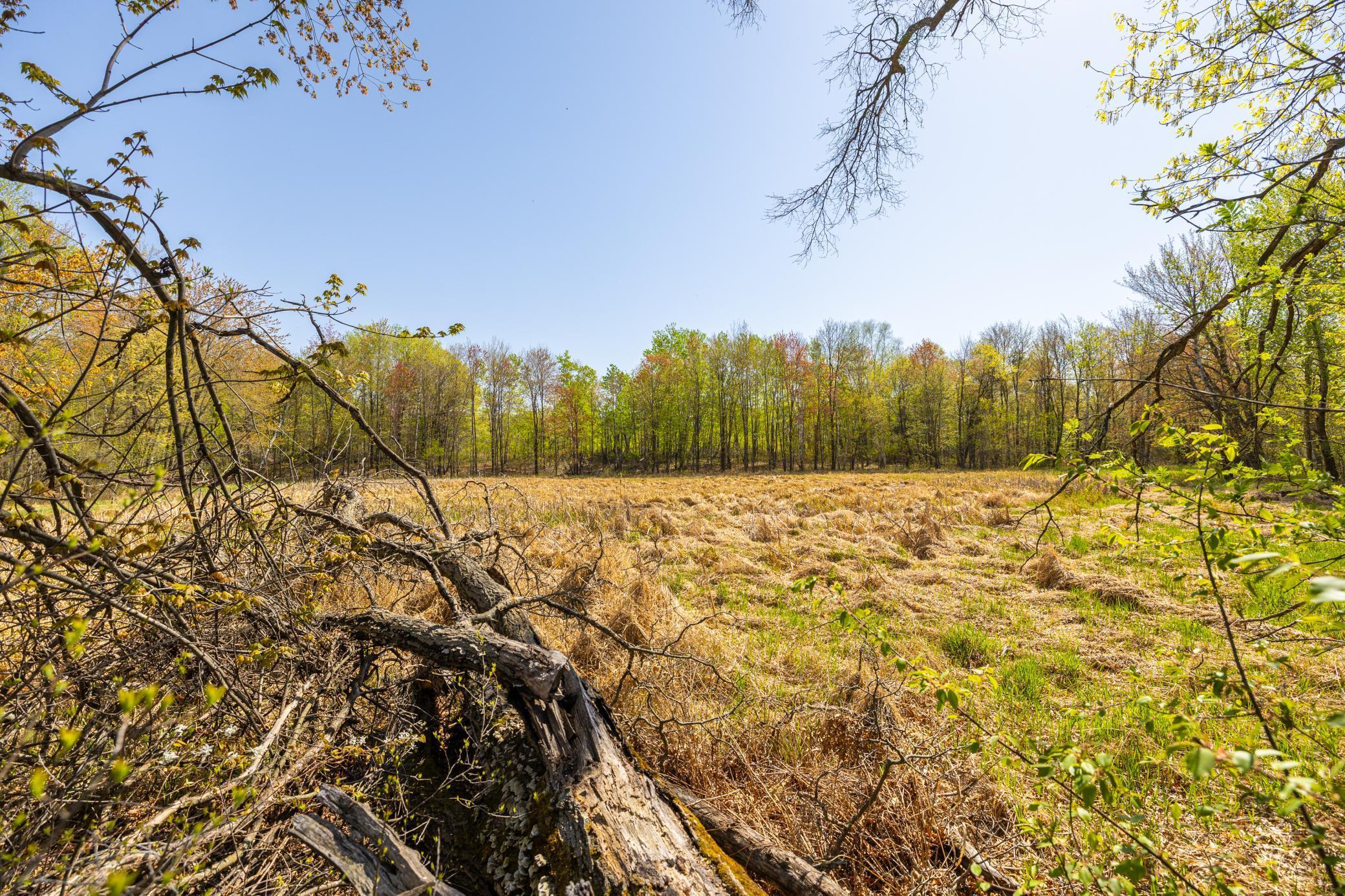 TBD-80+/-AC 470th Street, Harris, Minnesota image 39