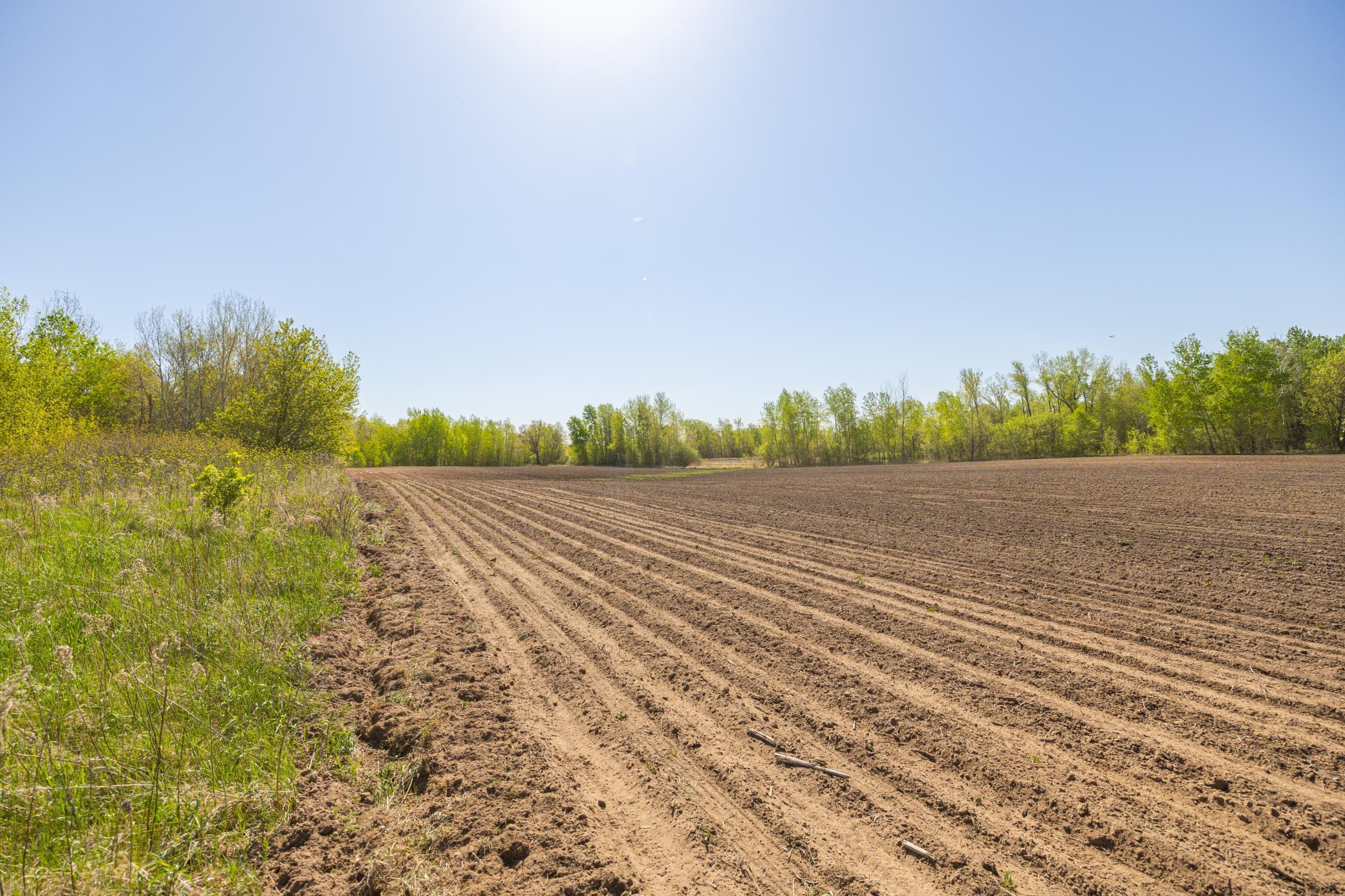 TBD-80+/-AC 470th Street, Harris, Minnesota image 32