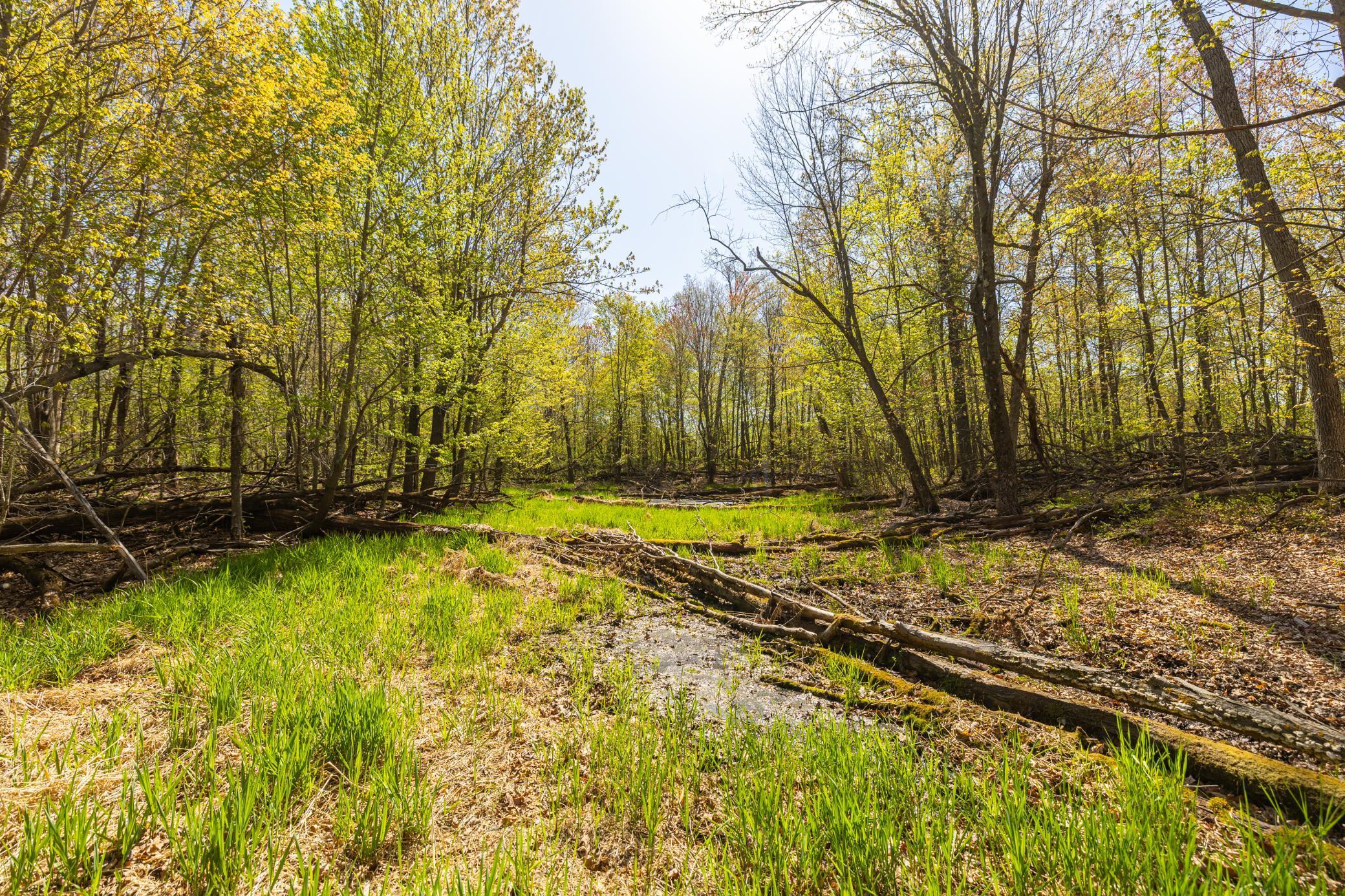 TBD-80+/-AC 470th Street, Harris, Minnesota image 14