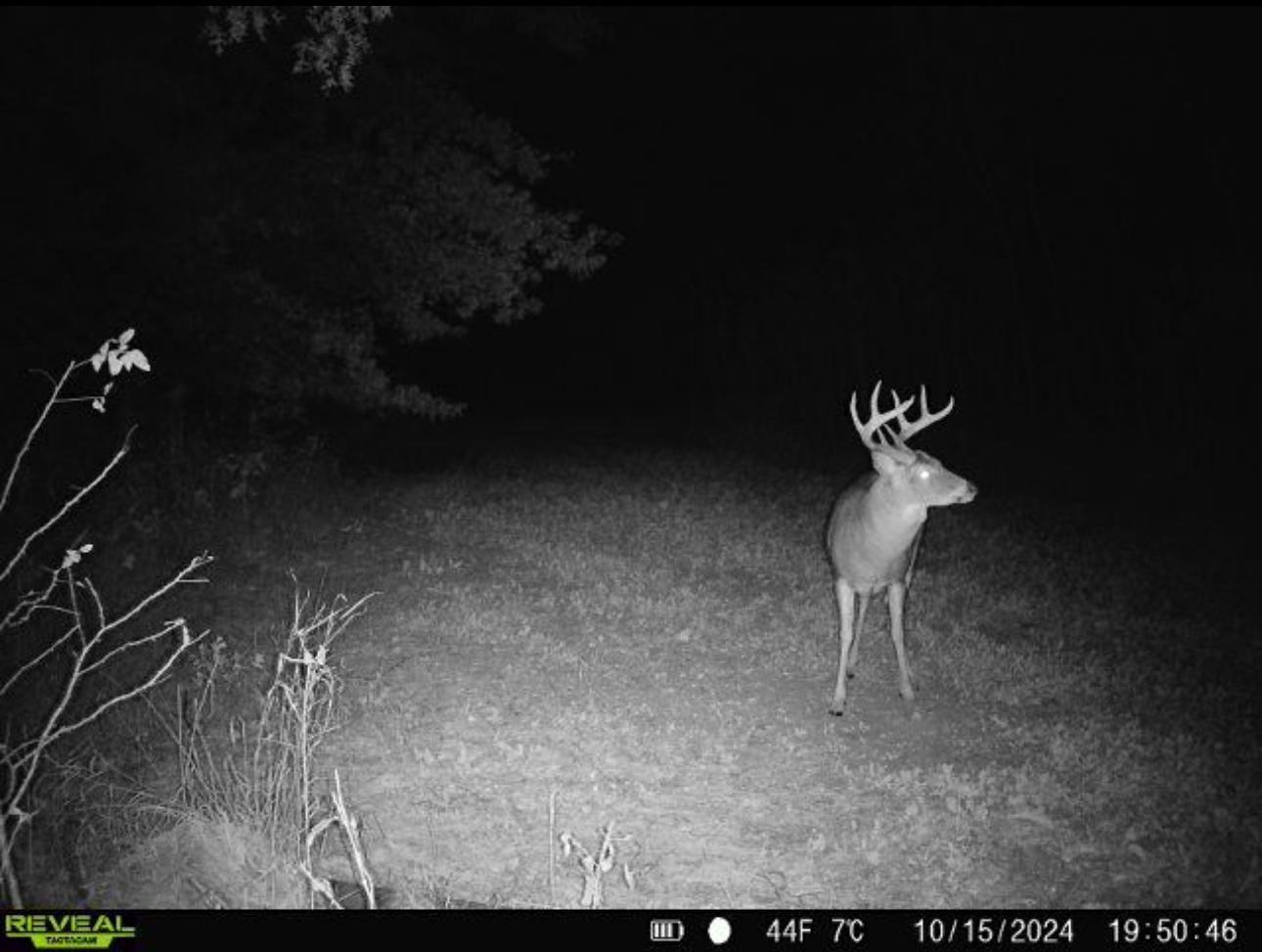 TBD-80+/-AC 470th Street, Harris, Minnesota image 11