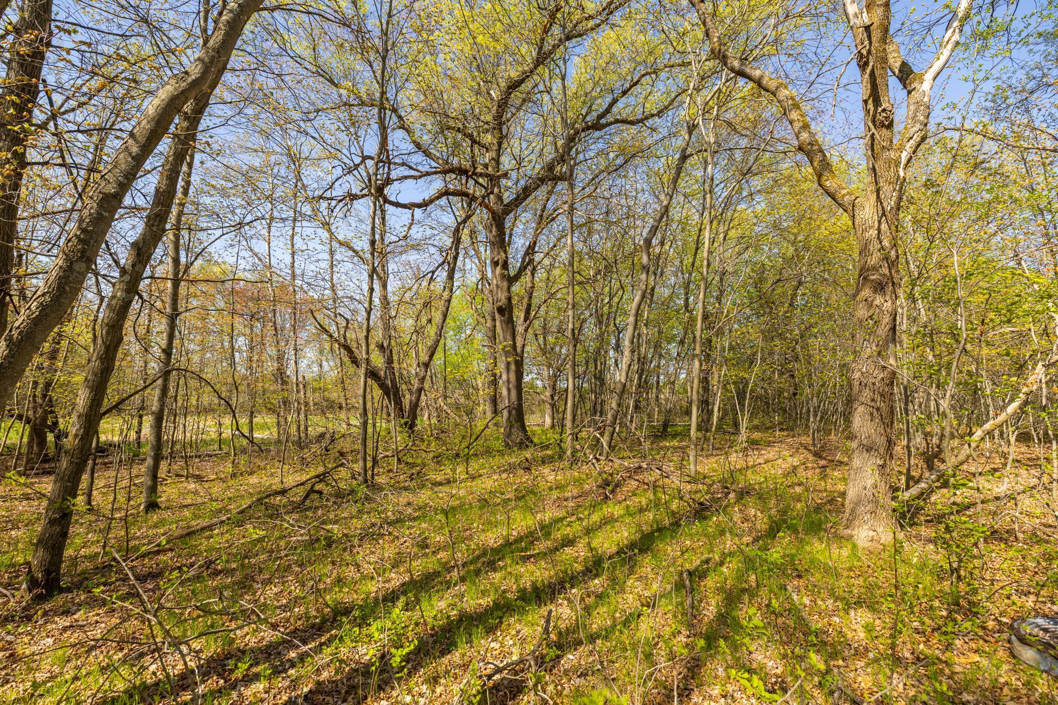TBD-80+/-AC 470th Street, Harris, Minnesota image 41