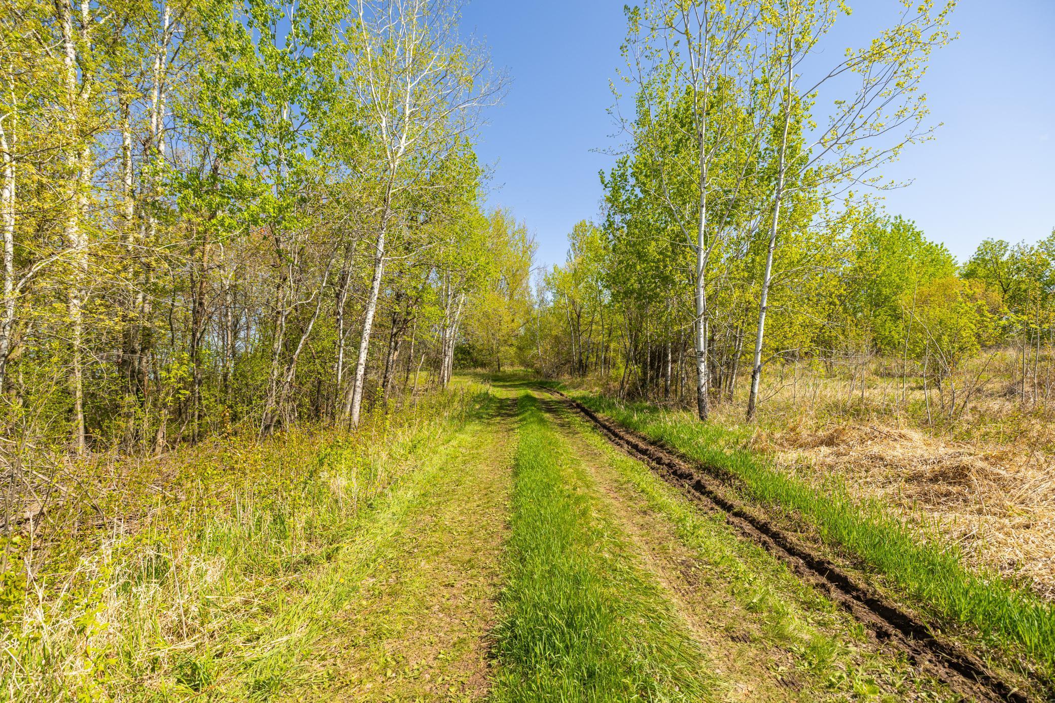 TBD-80+/-AC 470th Street, Harris, Minnesota image 7