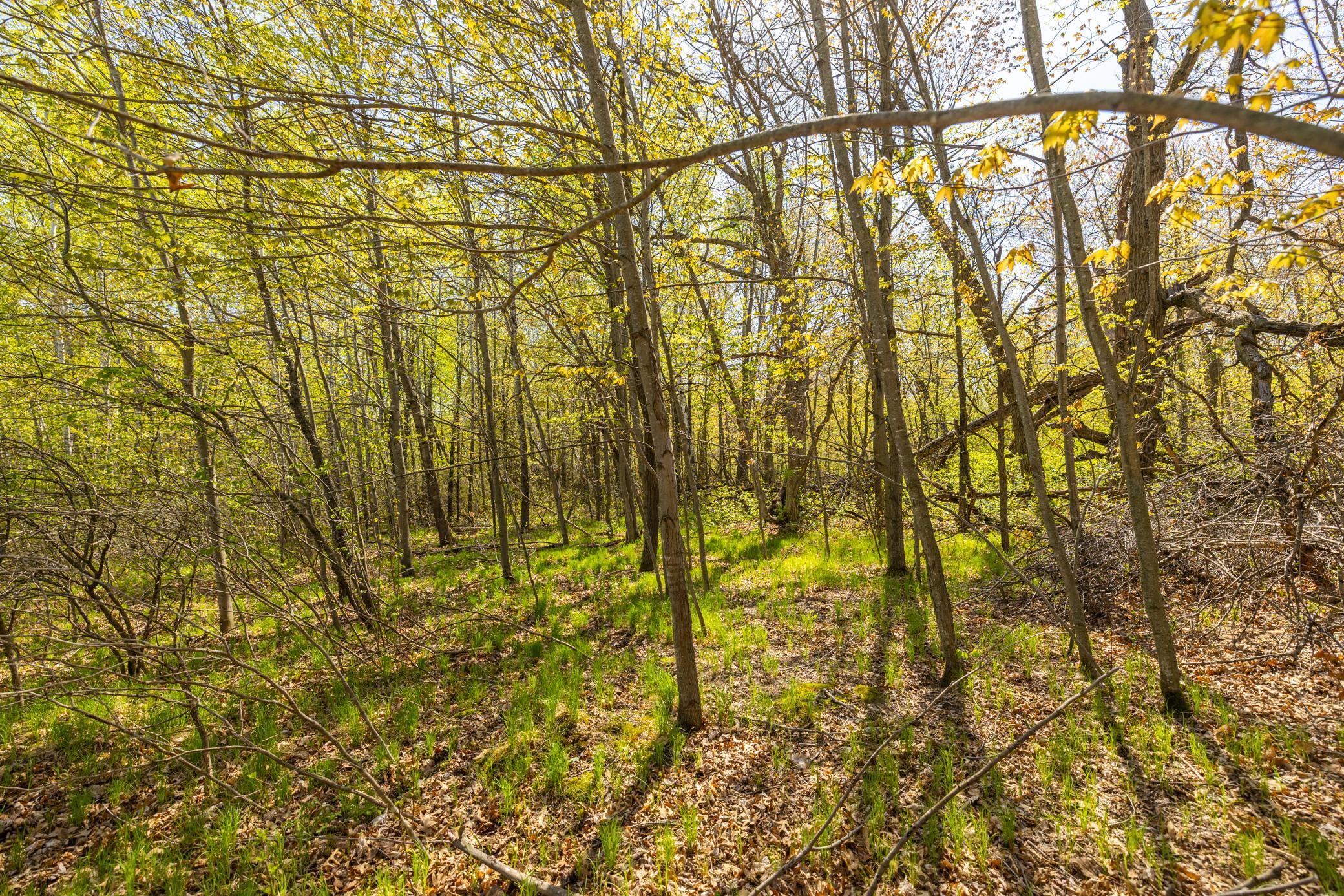 TBD-80+/-AC 470th Street, Harris, Minnesota image 22