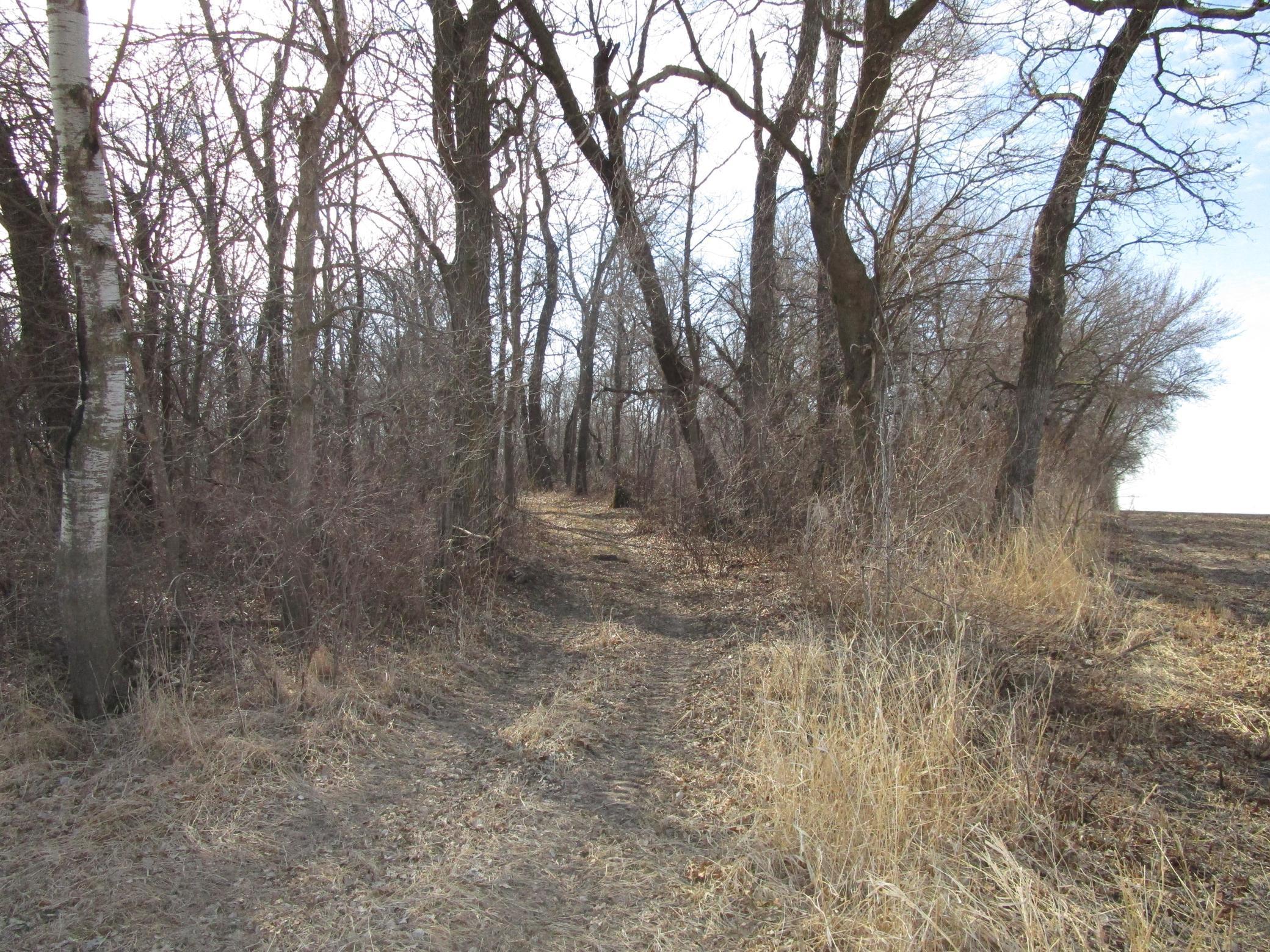 Xxxxx 480th Street, Pine Island, Minnesota image 2