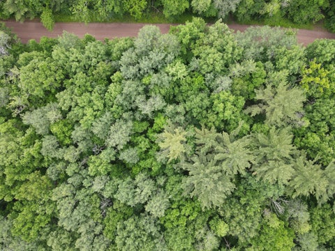 Vacant Land For Sale - LOT 2 Wilderness Retreat<br/> Pine County, Pine City, MN 55063