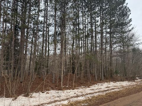 Vacant Land For Sale - NA Friesland<br/> Hinckley, MN 55037