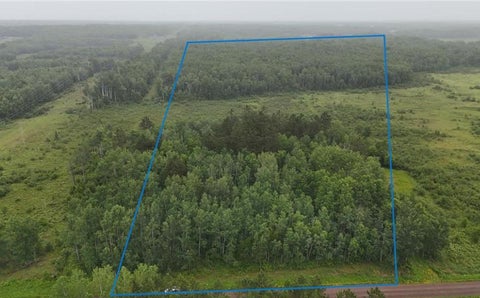 Vacant Land For Sale - TBD Klejeski Road<br/> Pine County, Sandstone, MN 55072