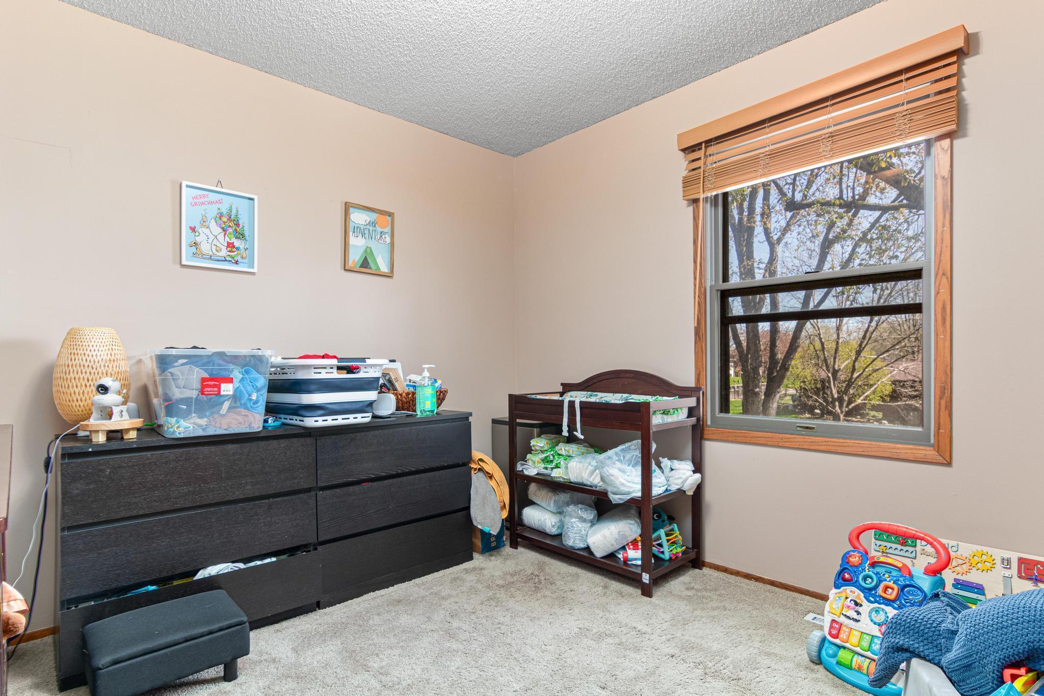 14790 Dundee Avenue, Saint Paul, Minnesota image 19