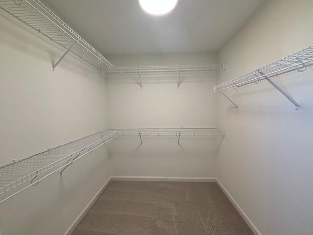 6190 Harkness Alcove, Cottage Grove, Minnesota image 28
