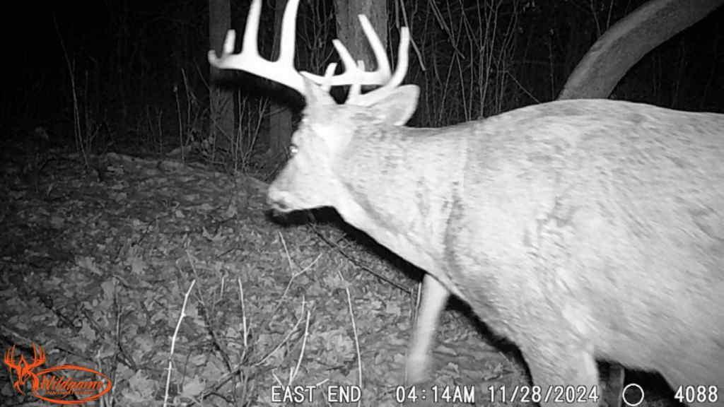 TBD 302nd St, Starbuck, Minnesota image 39