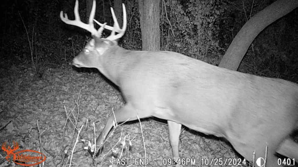 TBD 302nd St, Starbuck, Minnesota image 37