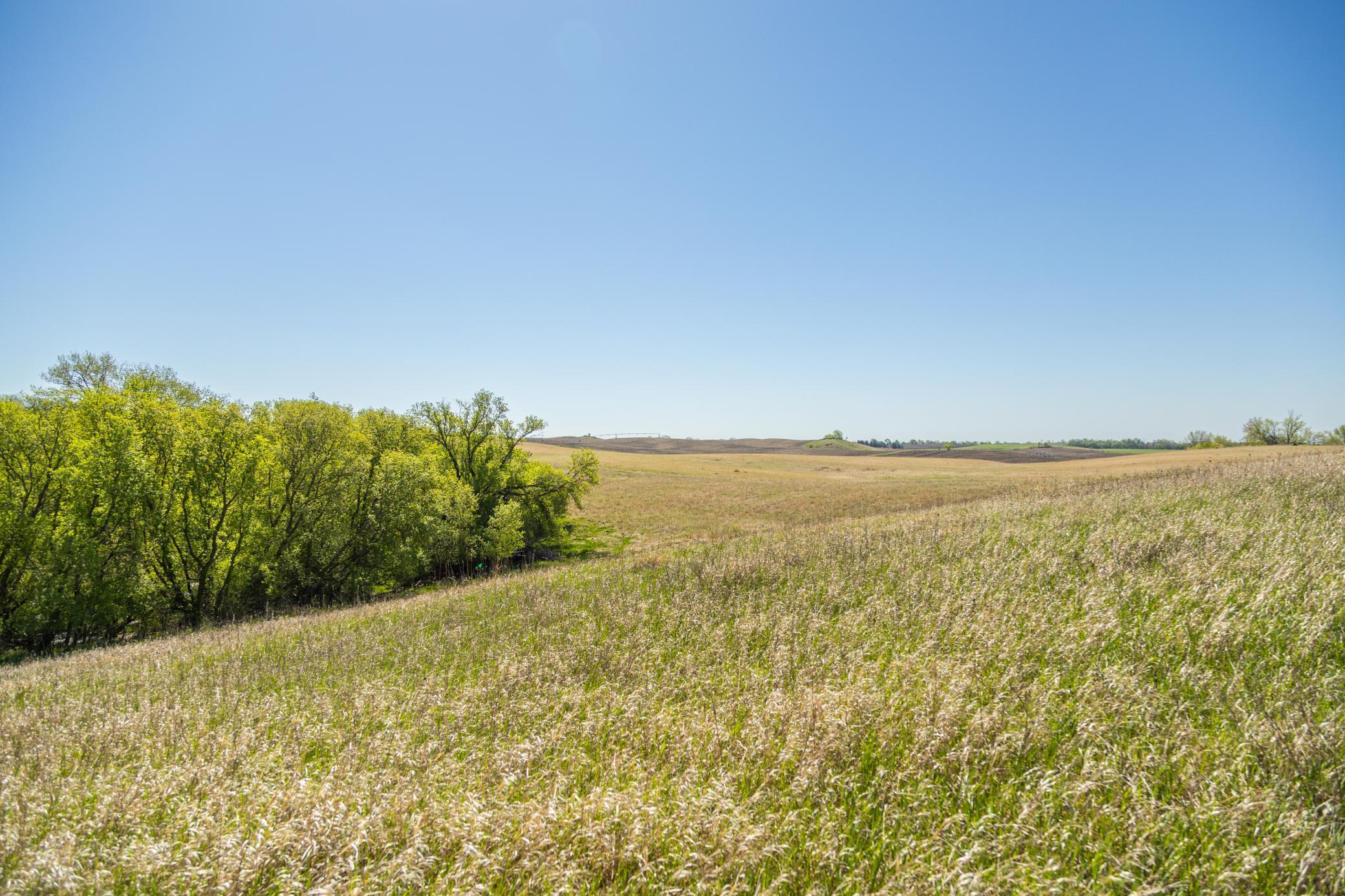 TBD 302nd St, Starbuck, Minnesota image 23
