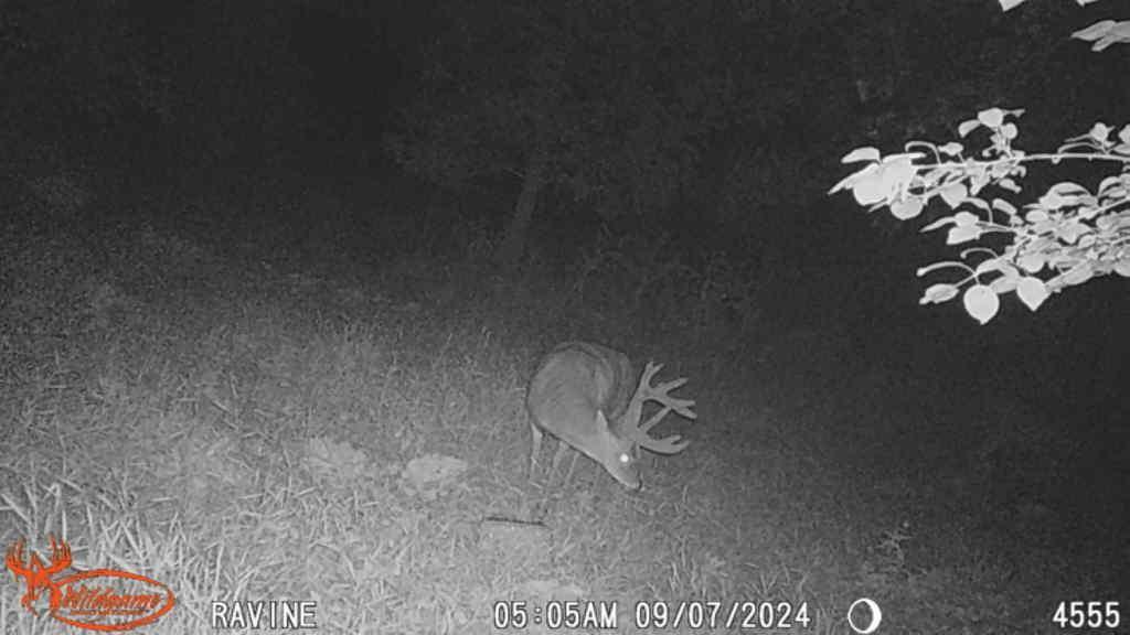 TBD 302nd St, Starbuck, Minnesota image 35