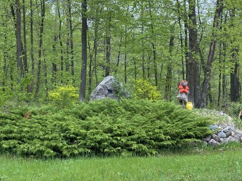 Vacant Land For Sale - LOT 17 Bear Tract Lane<br/> Longville, MN 56655