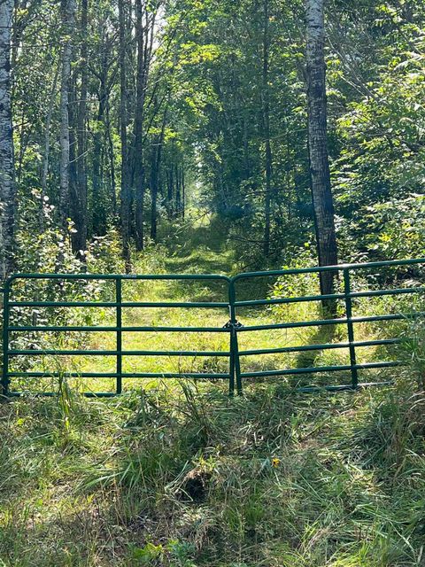 Vacant Land For Sale - TBD W County Road 3<br/> Koochiching County, International Falls, MN 56669