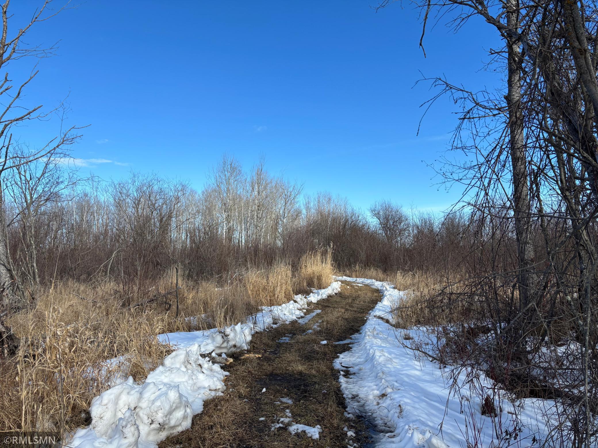 25464 560th Street, Palisade, Minnesota image 12