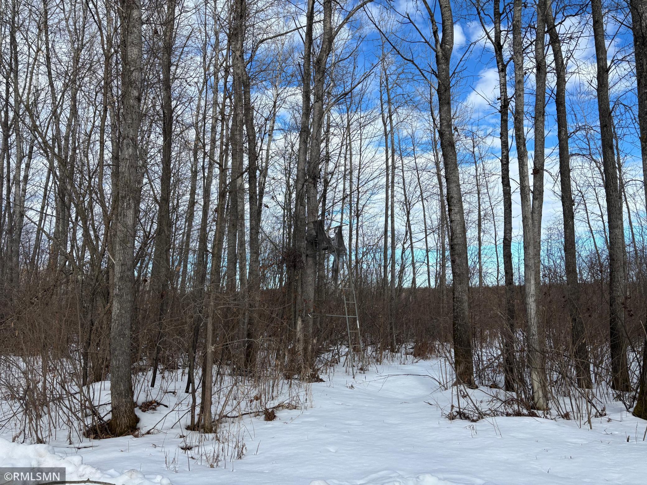 25464 560th Street, Palisade, Minnesota image 11