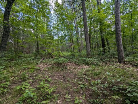 Vacant Land For Sale - LOT 3 Fosmo<br/> Webster, WI 54893