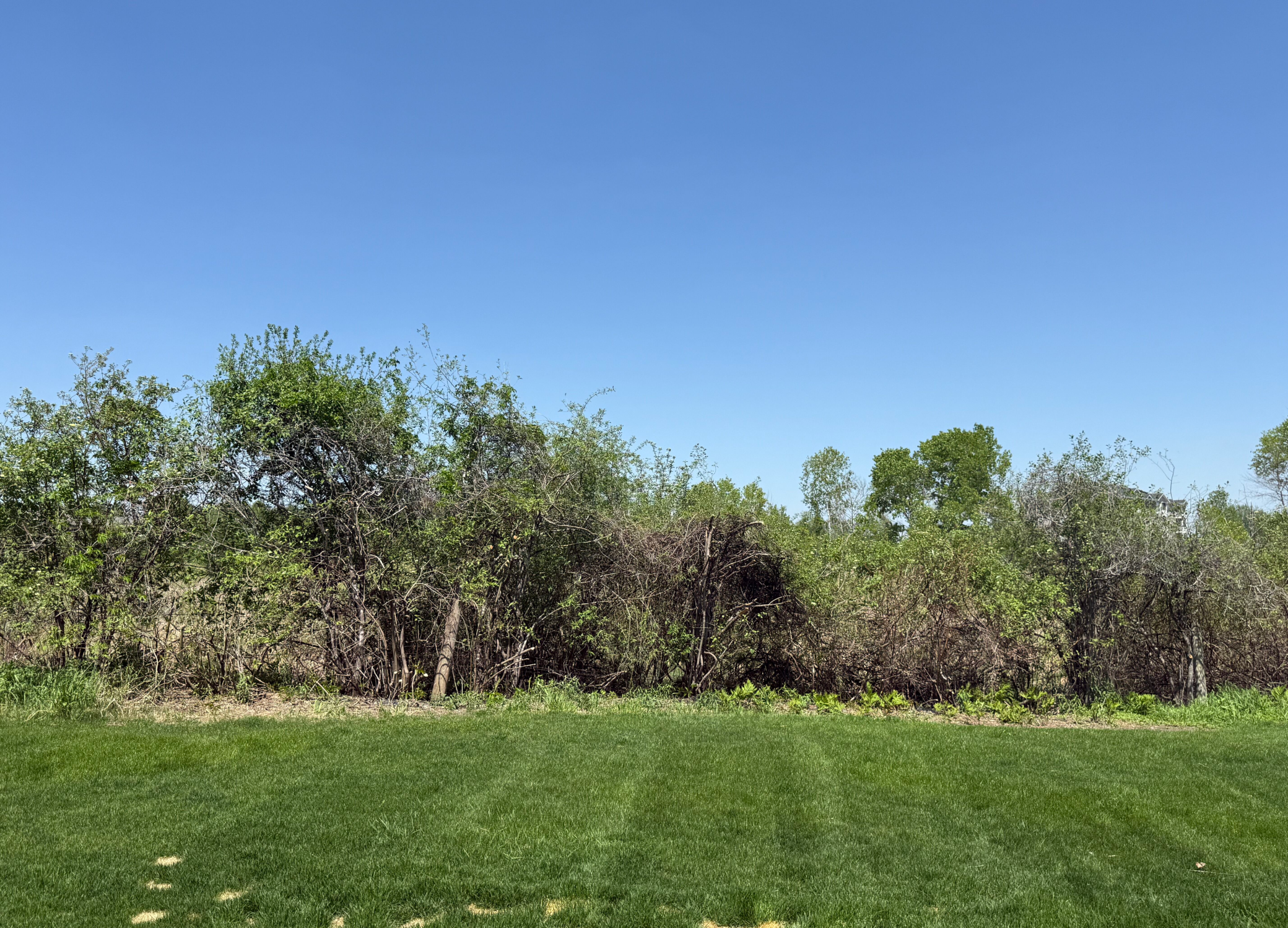 4635 19th Street, Forest Lake, Minnesota image 42