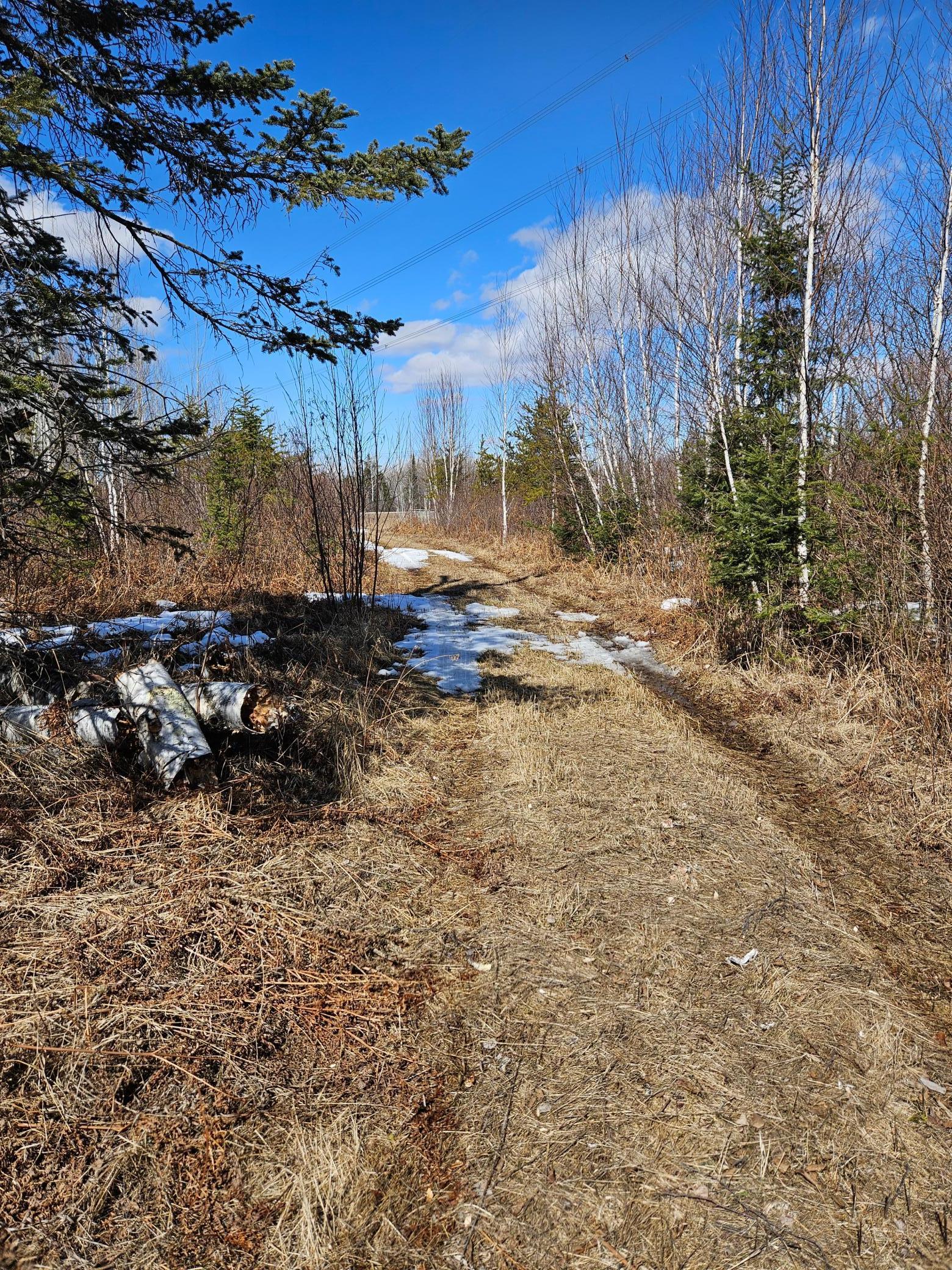 7183 County Road 3, Williams, Minnesota image 2