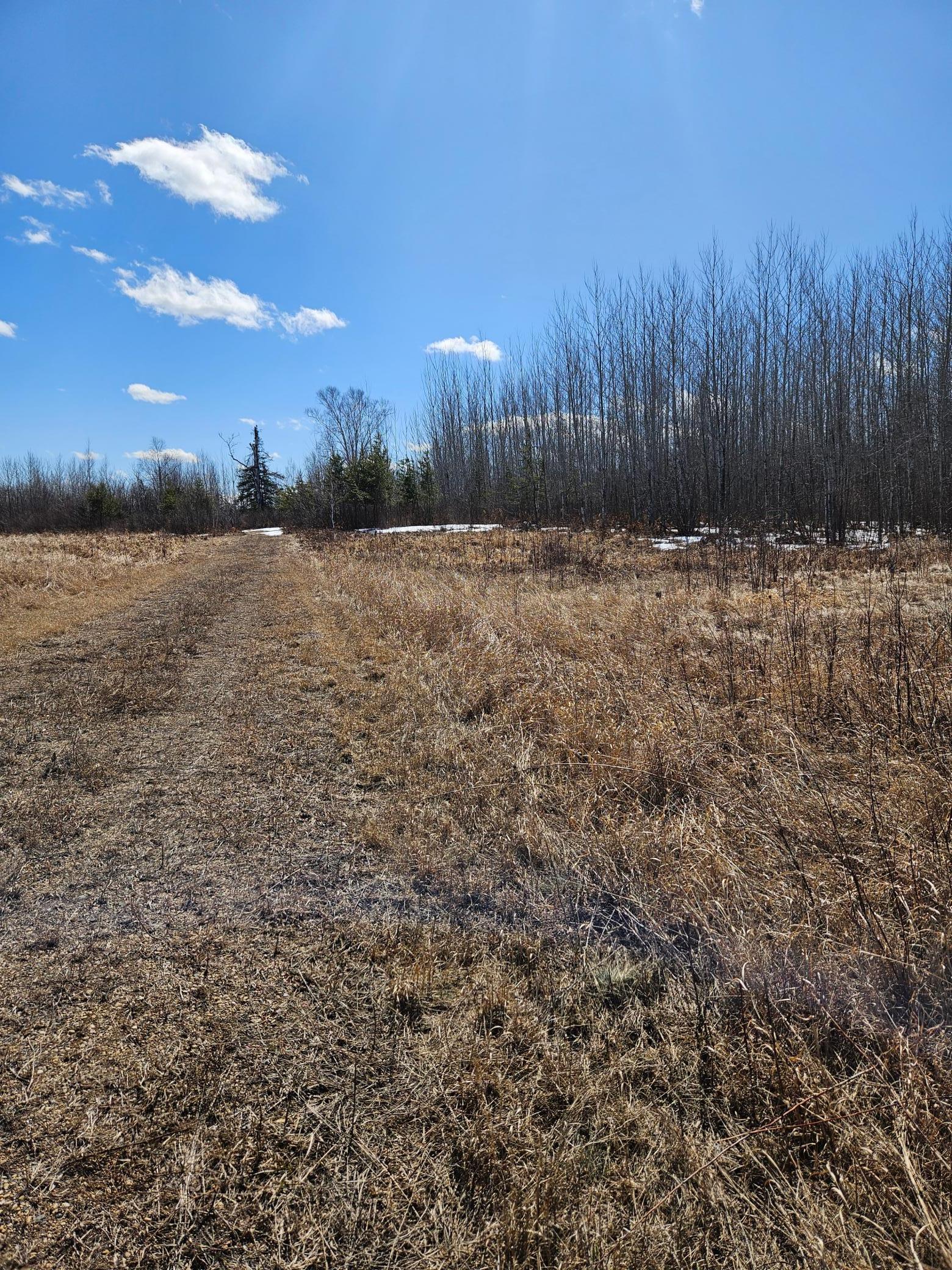 7183 County Road 3, Williams, Minnesota image 4