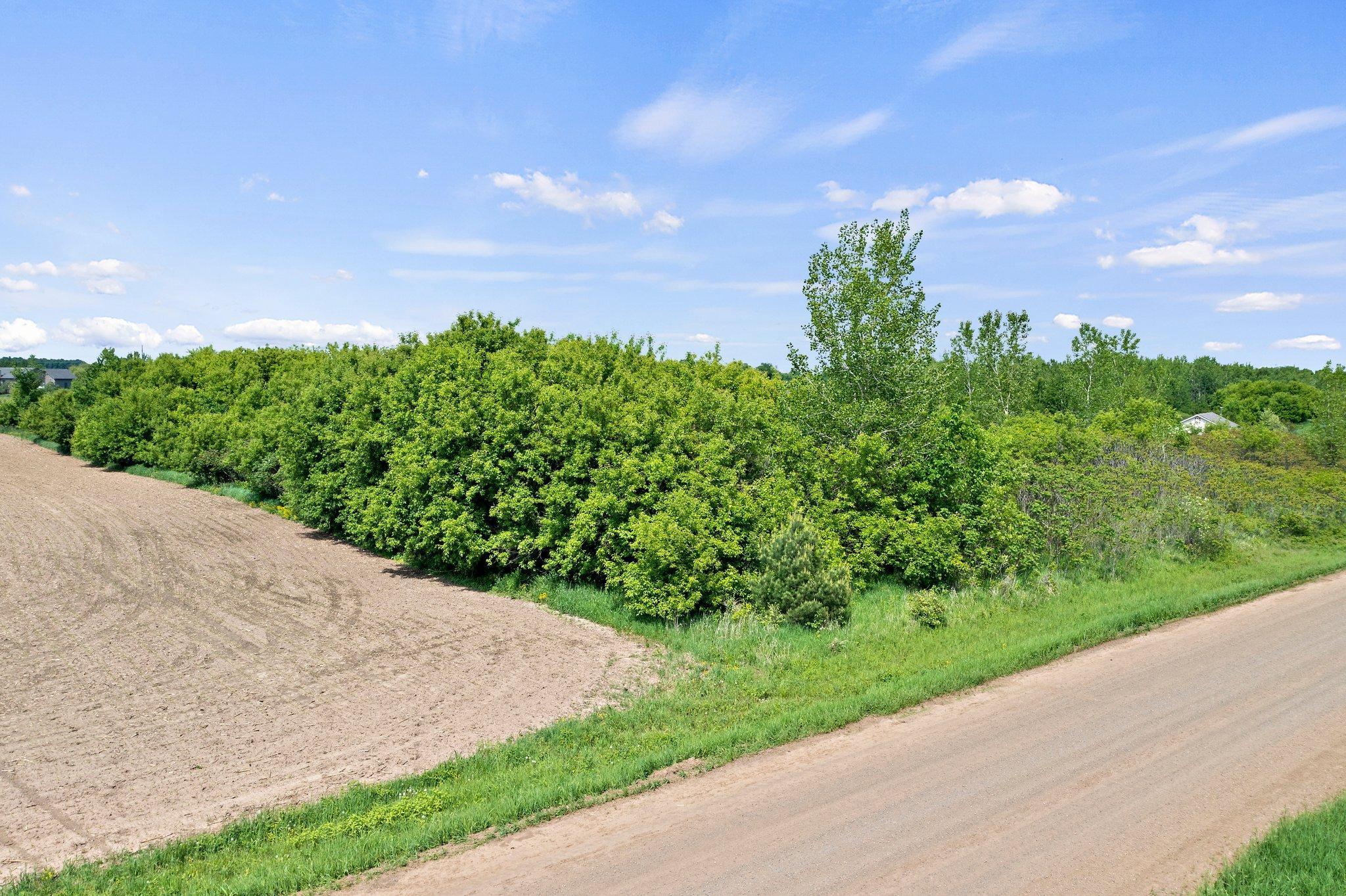 Lot 25 S Bear Lake Lane, Dresser, Wisconsin image 4