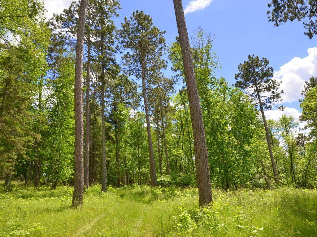 XXX Jack Pine Lane, Nevis, Minnesota image 18