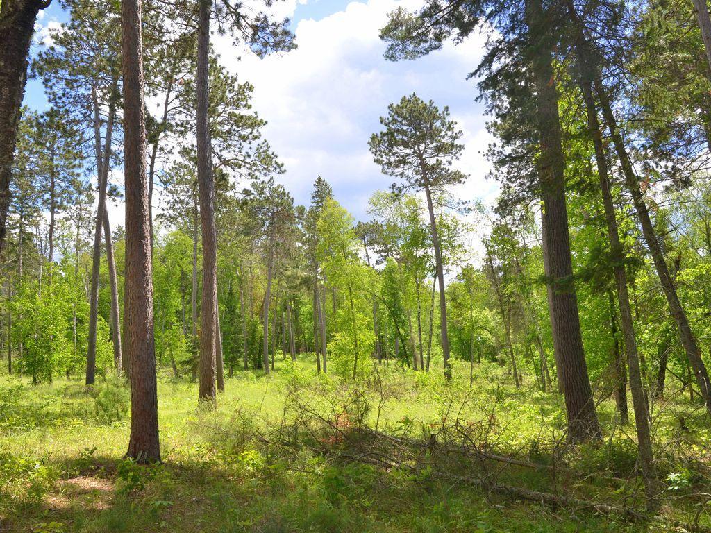 XXX Jack Pine Lane, Nevis, Minnesota image 16