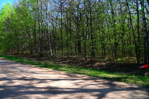 Vacant Land For Sale - 28329 Orchard Drive<br/> Todd County, Browerville, MN 56438