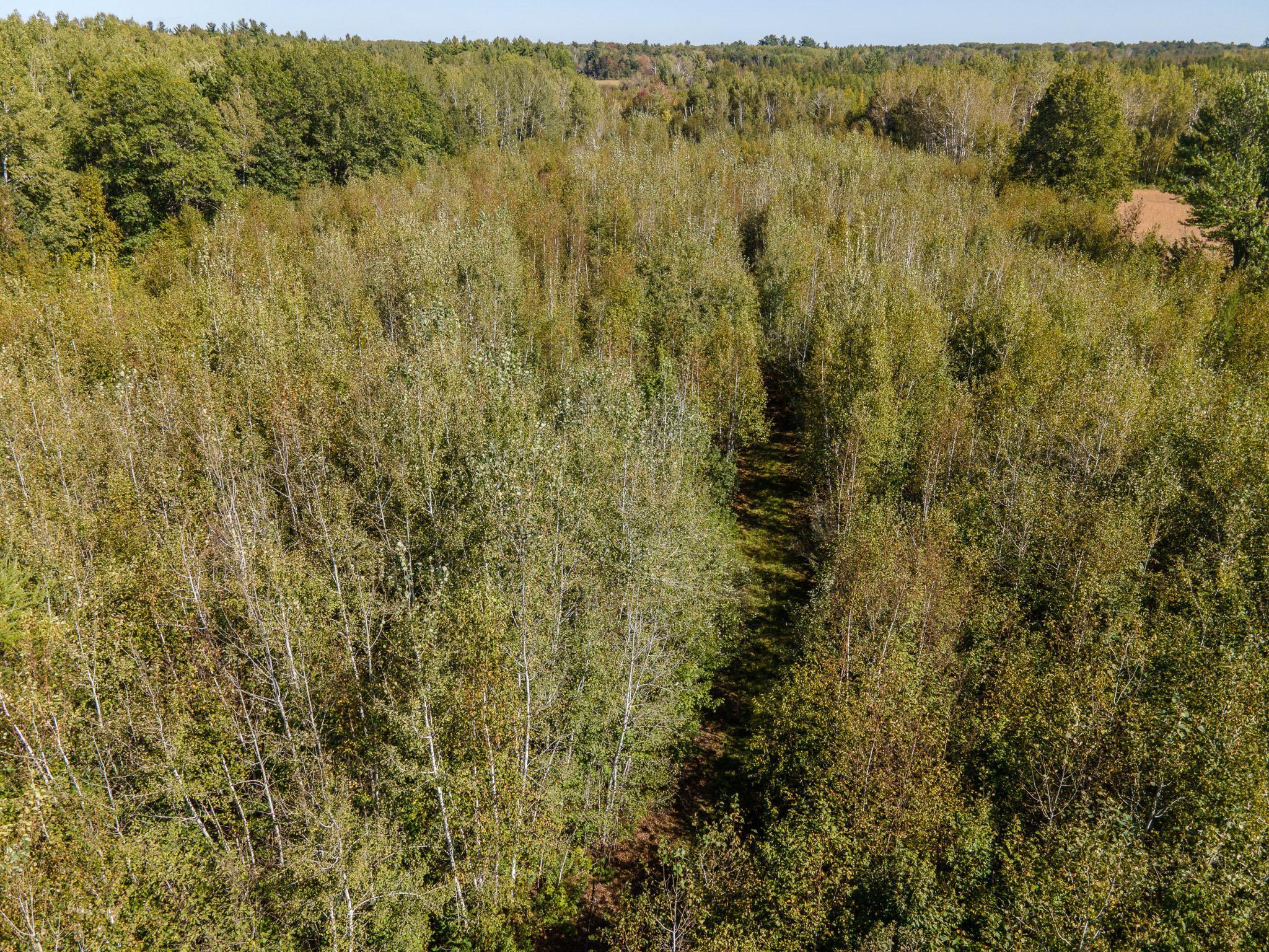 000 Bitternut Lane, Hinckley, Minnesota image 29