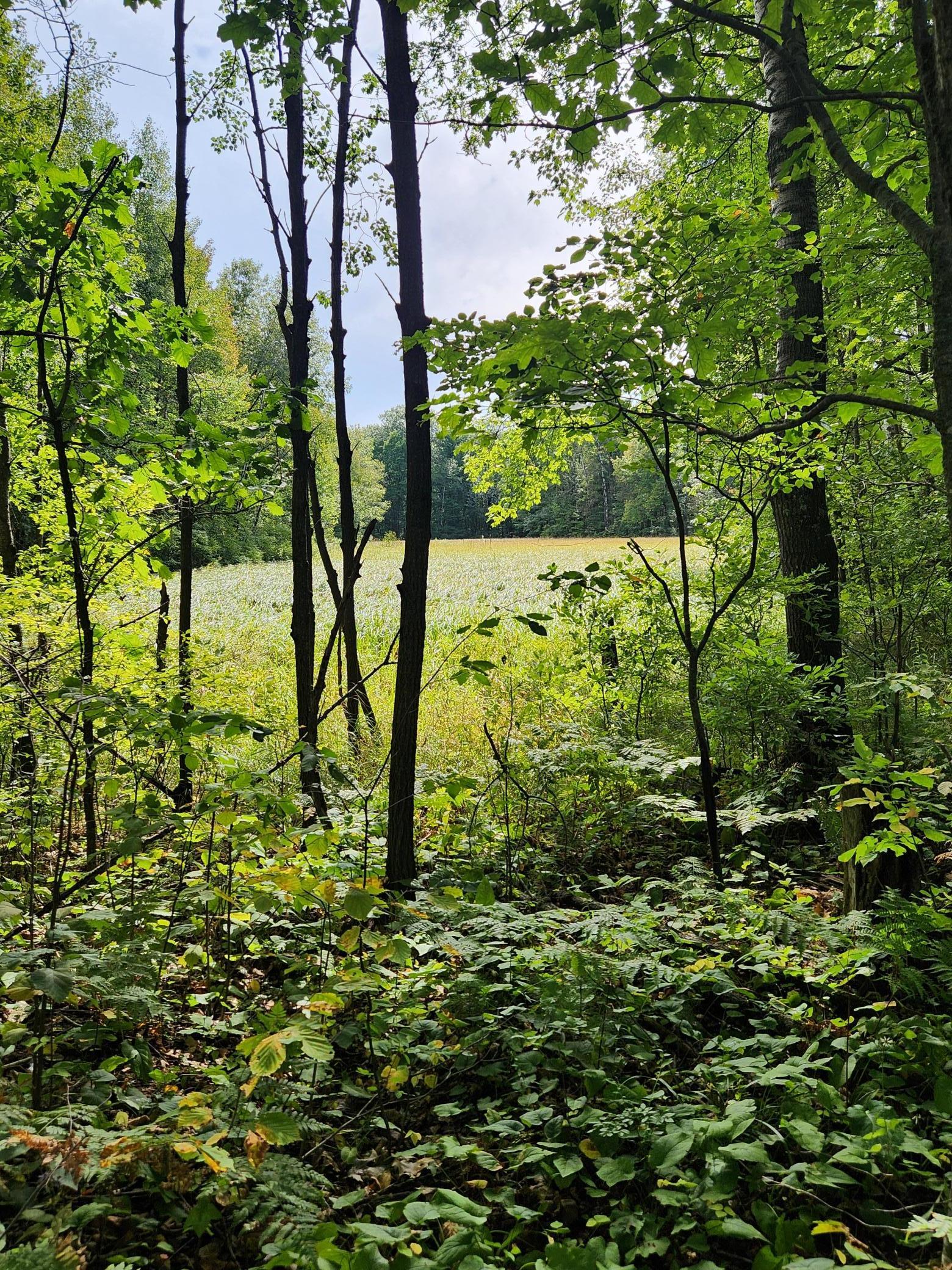 000 Bitternut Lane, Hinckley, Minnesota image 10