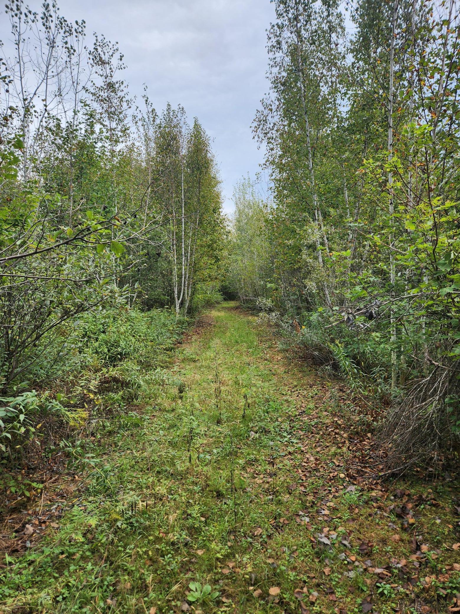 000 Bitternut Lane, Hinckley, Minnesota image 11