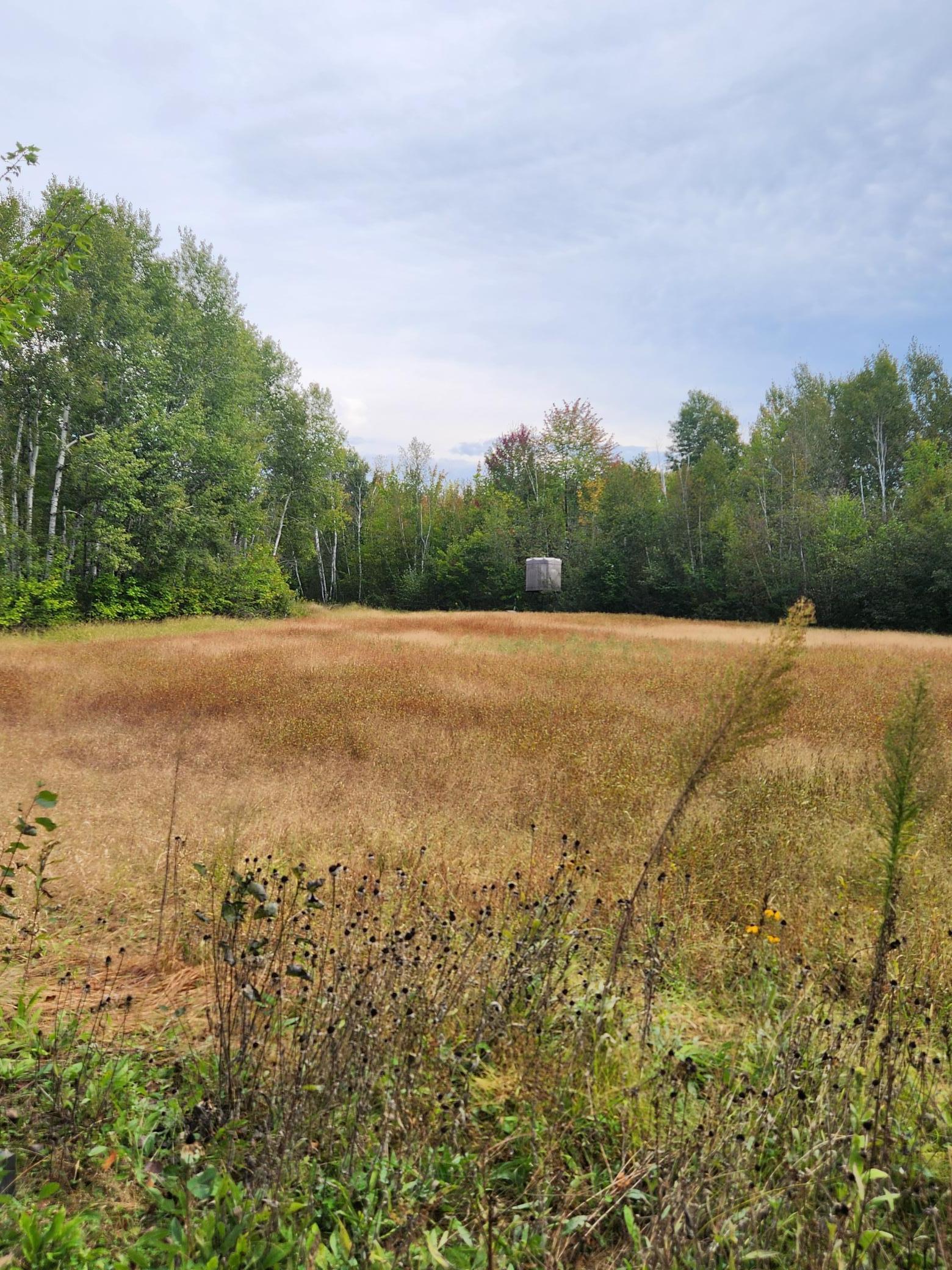 000 Bitternut Lane, Hinckley, Minnesota image 4