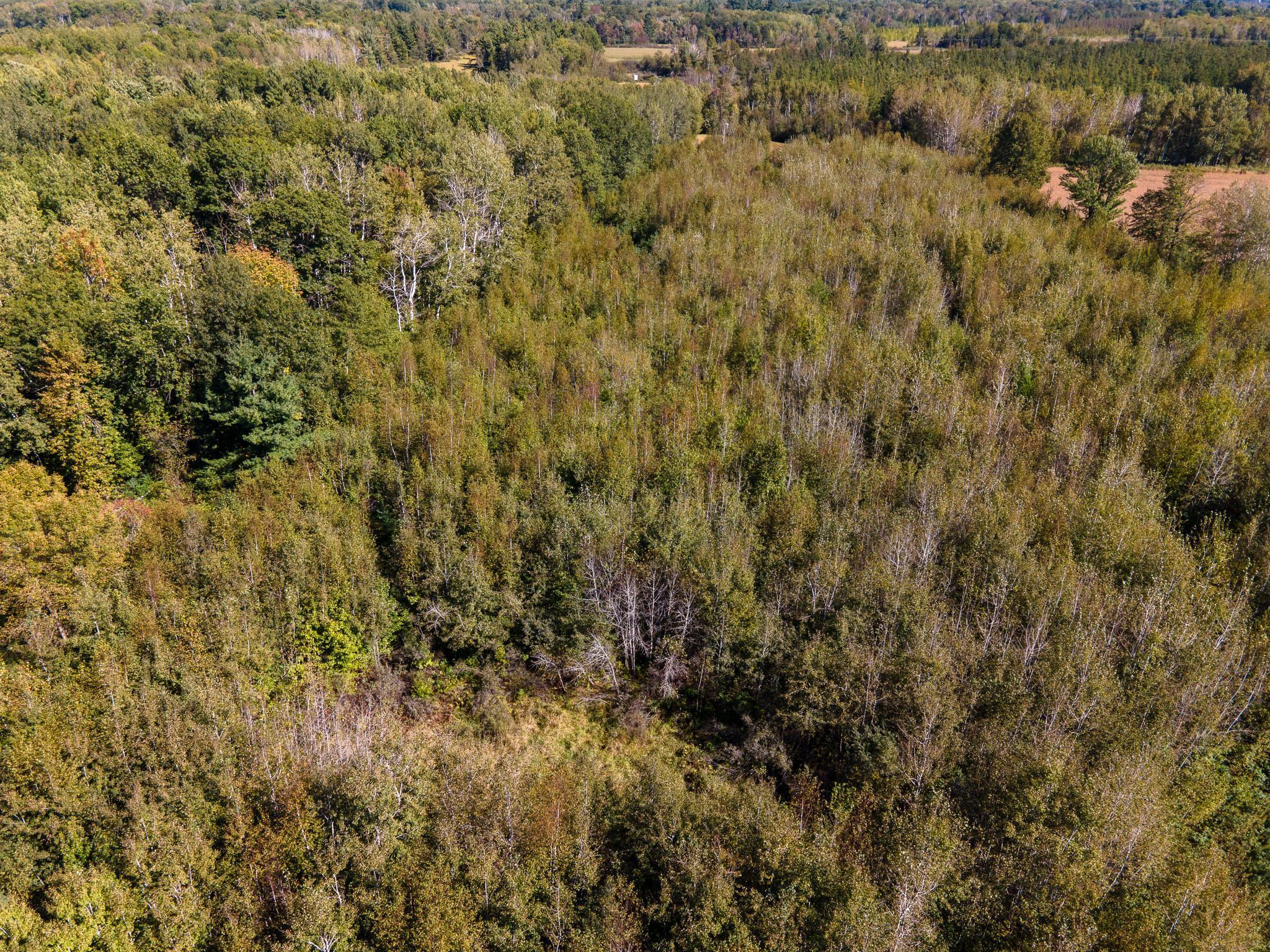 000 Bitternut Lane, Hinckley, Minnesota image 30