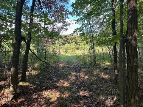 Vacant Land For Sale - XXX 424th Street<br/> Harris, MN 55032