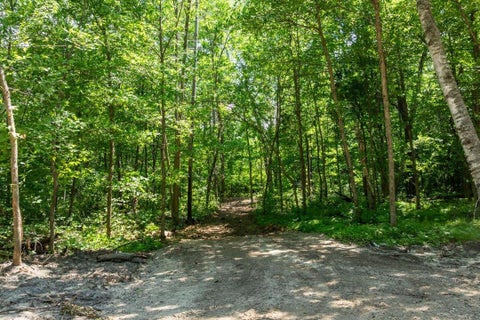 Vacant Land For Sale - TBD LOT B Hidden Pond Lane<br/> Pequot Lakes, MN 56472