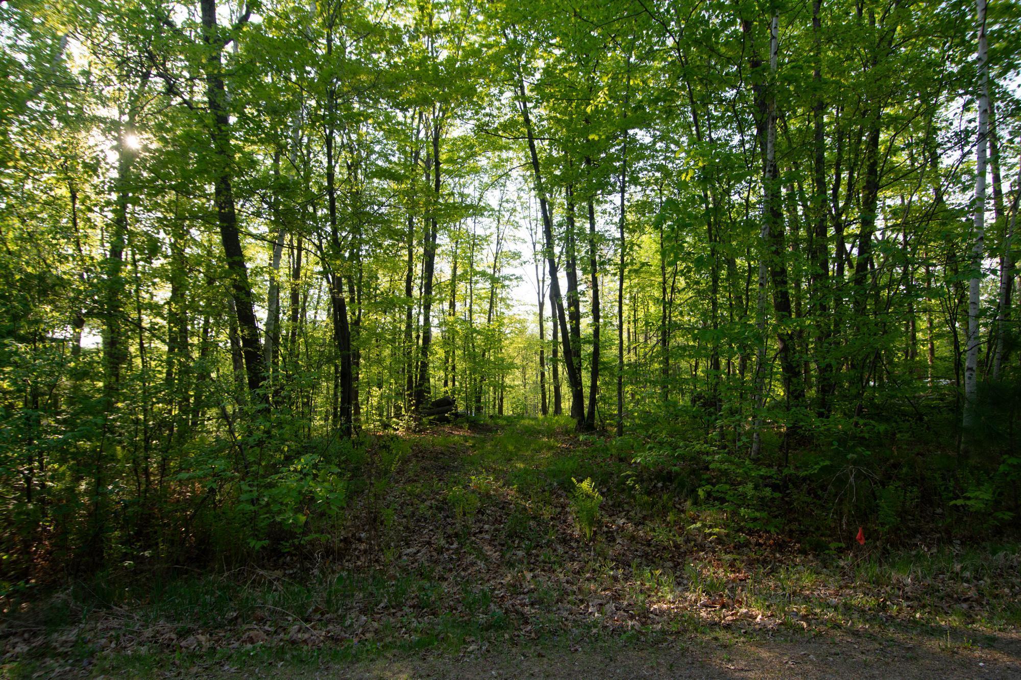22071 Whitetail Drive, Emily, Minnesota image 50