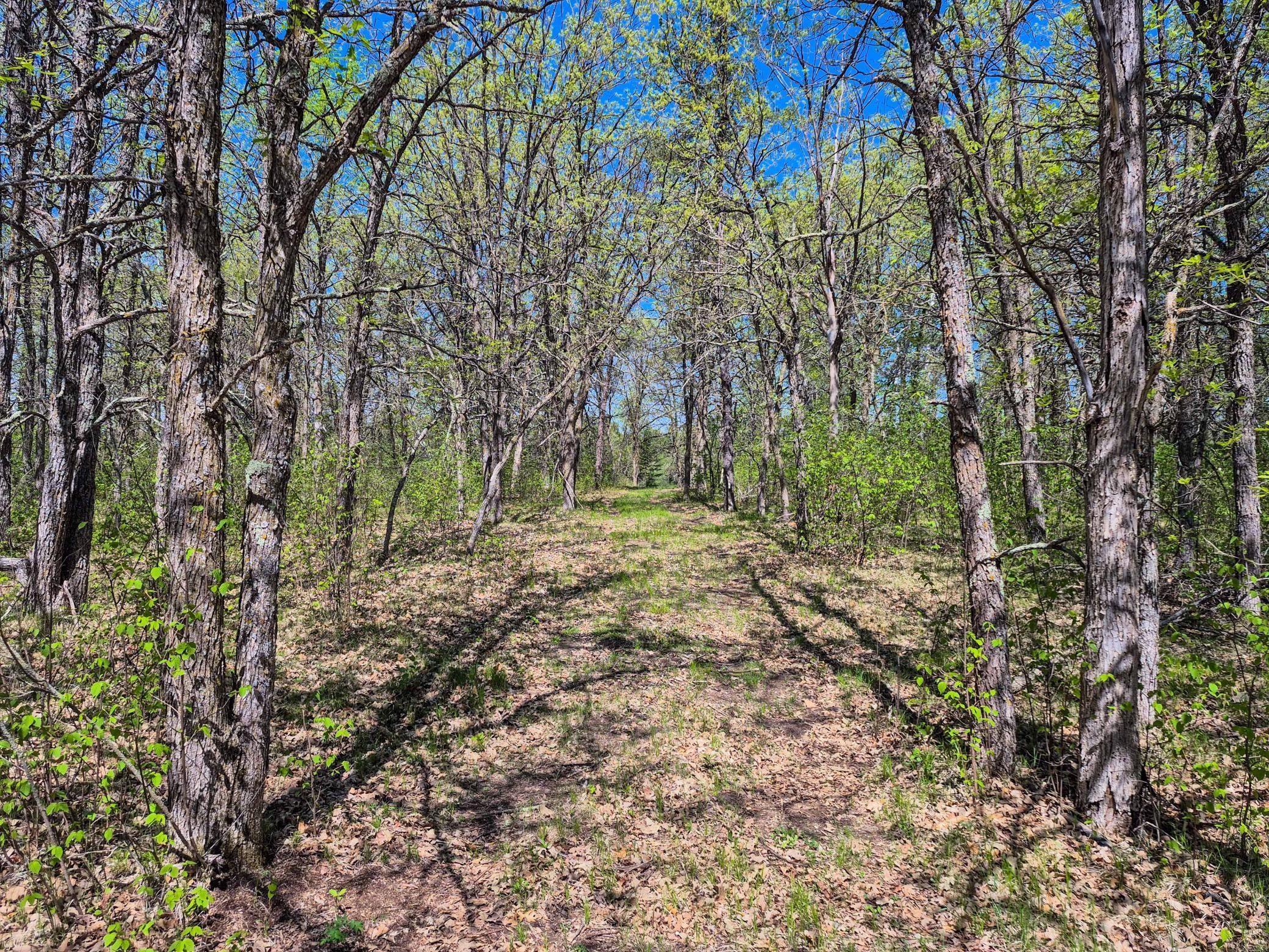 TBD County 152, Park Rapids, Minnesota image 26
